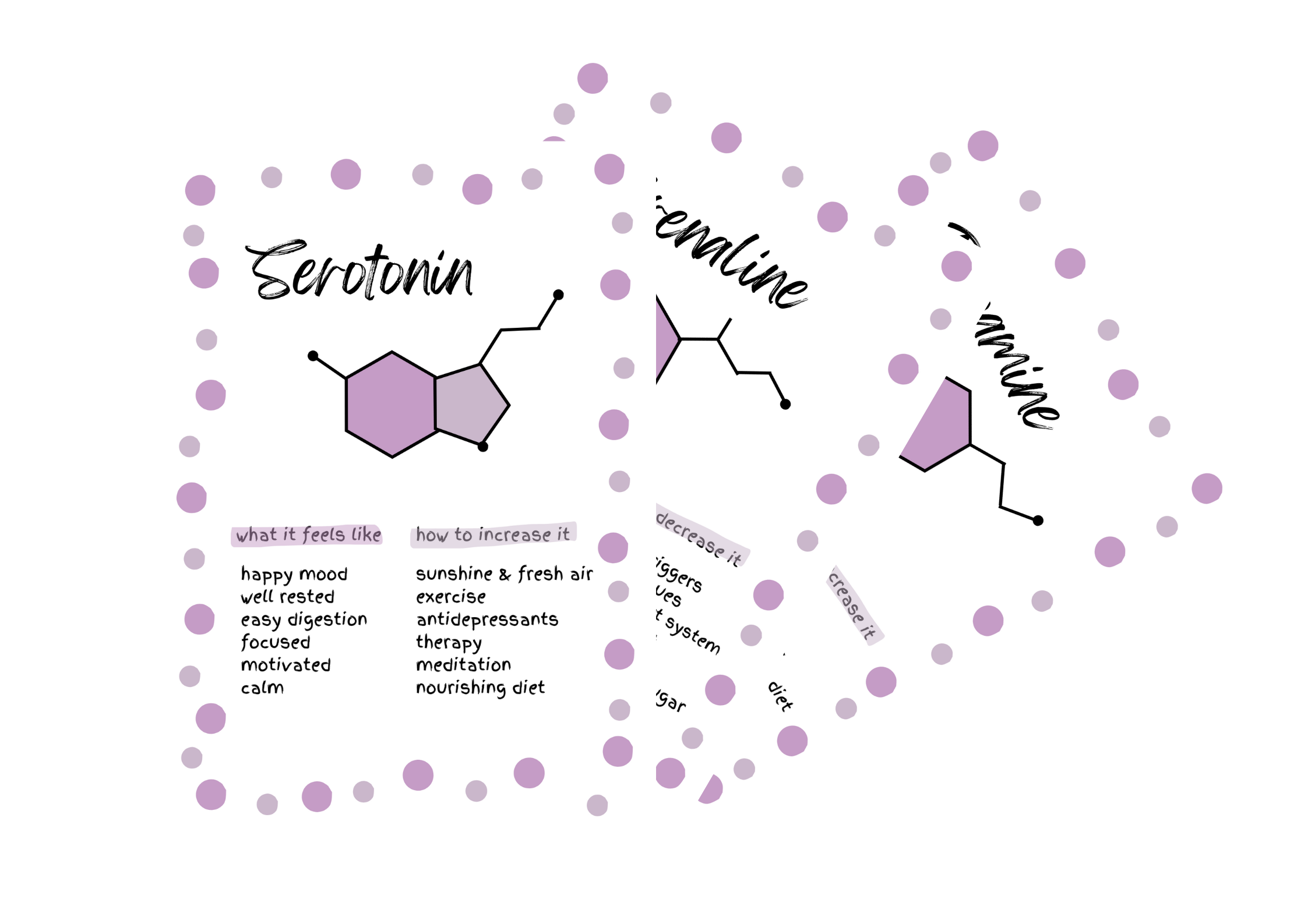 Neurochemical Poster Bundle Pink