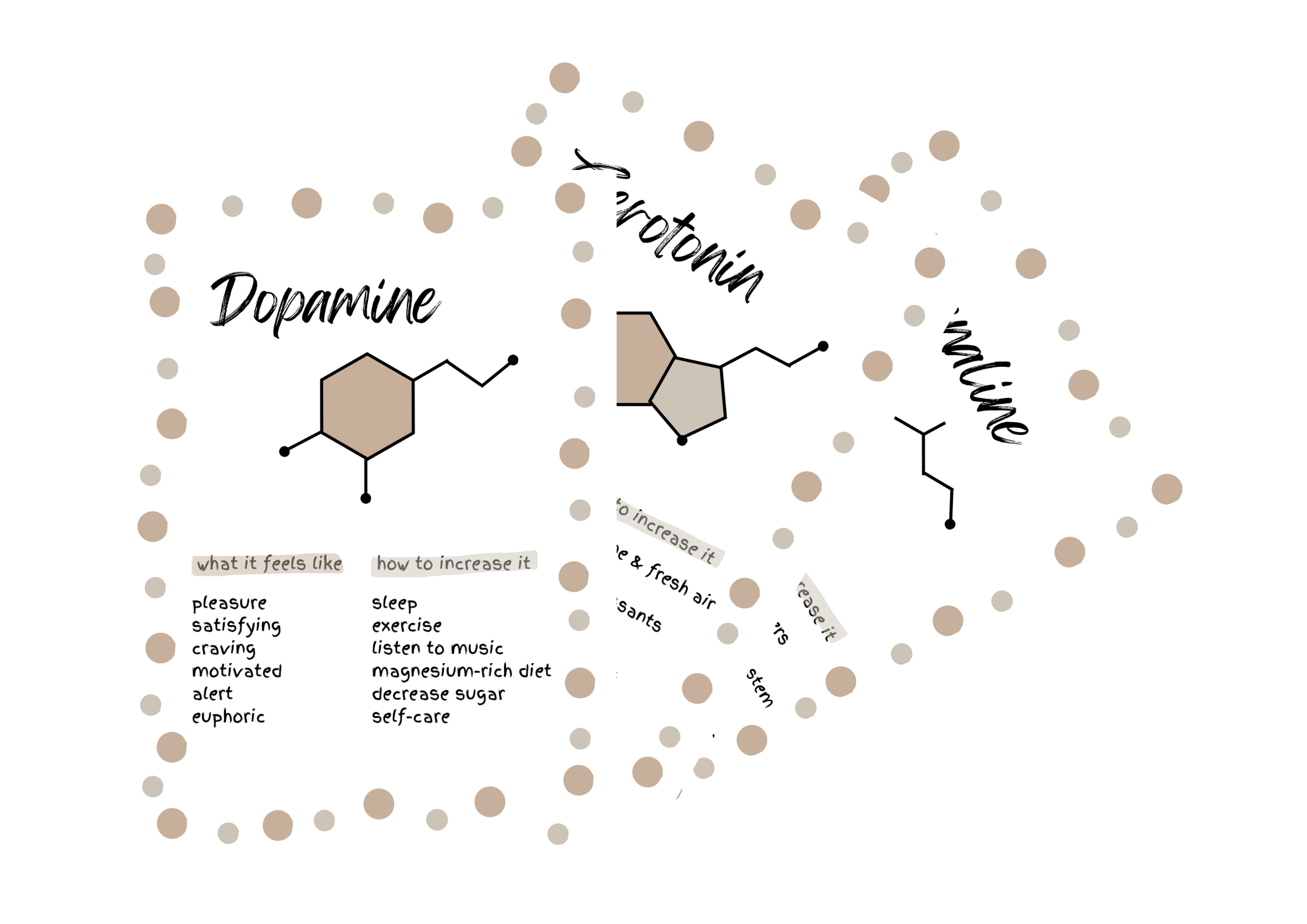 Neurochemical Poster Bundle Neutral