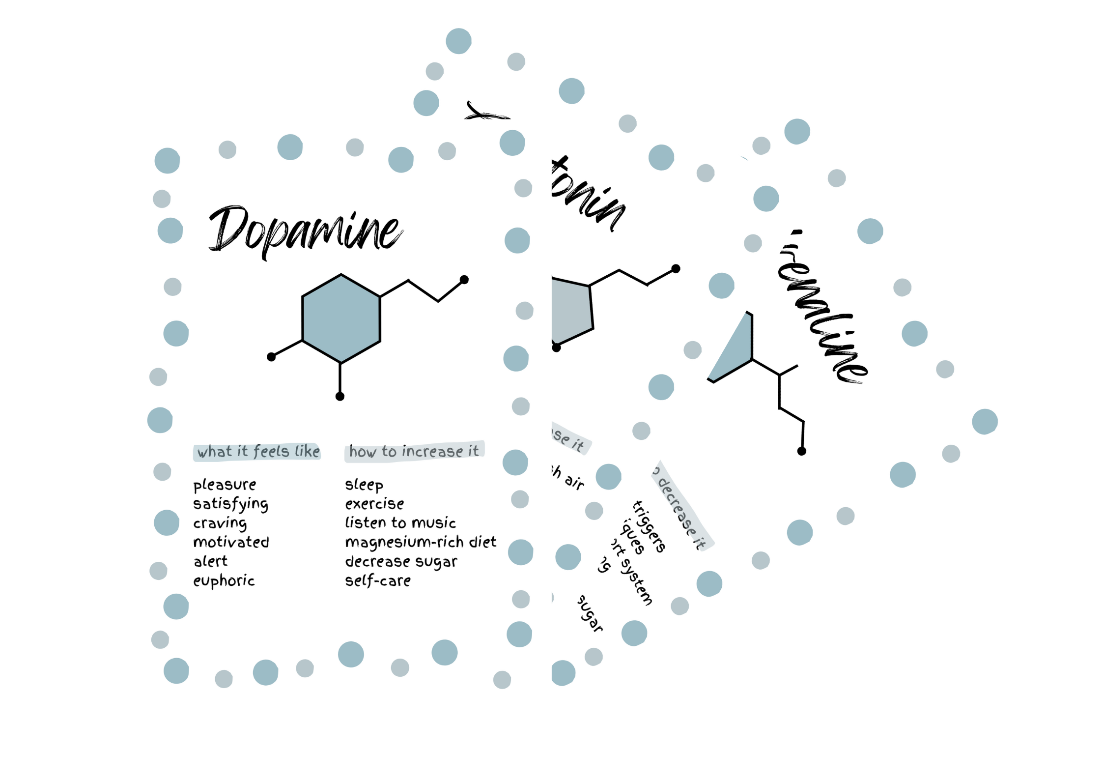 Neurochemical Poster Bundle Blue