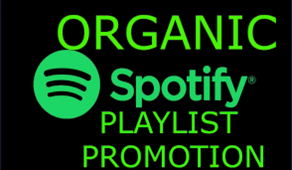 Spotify Ads Campaign – Explosive Growth for Your Music