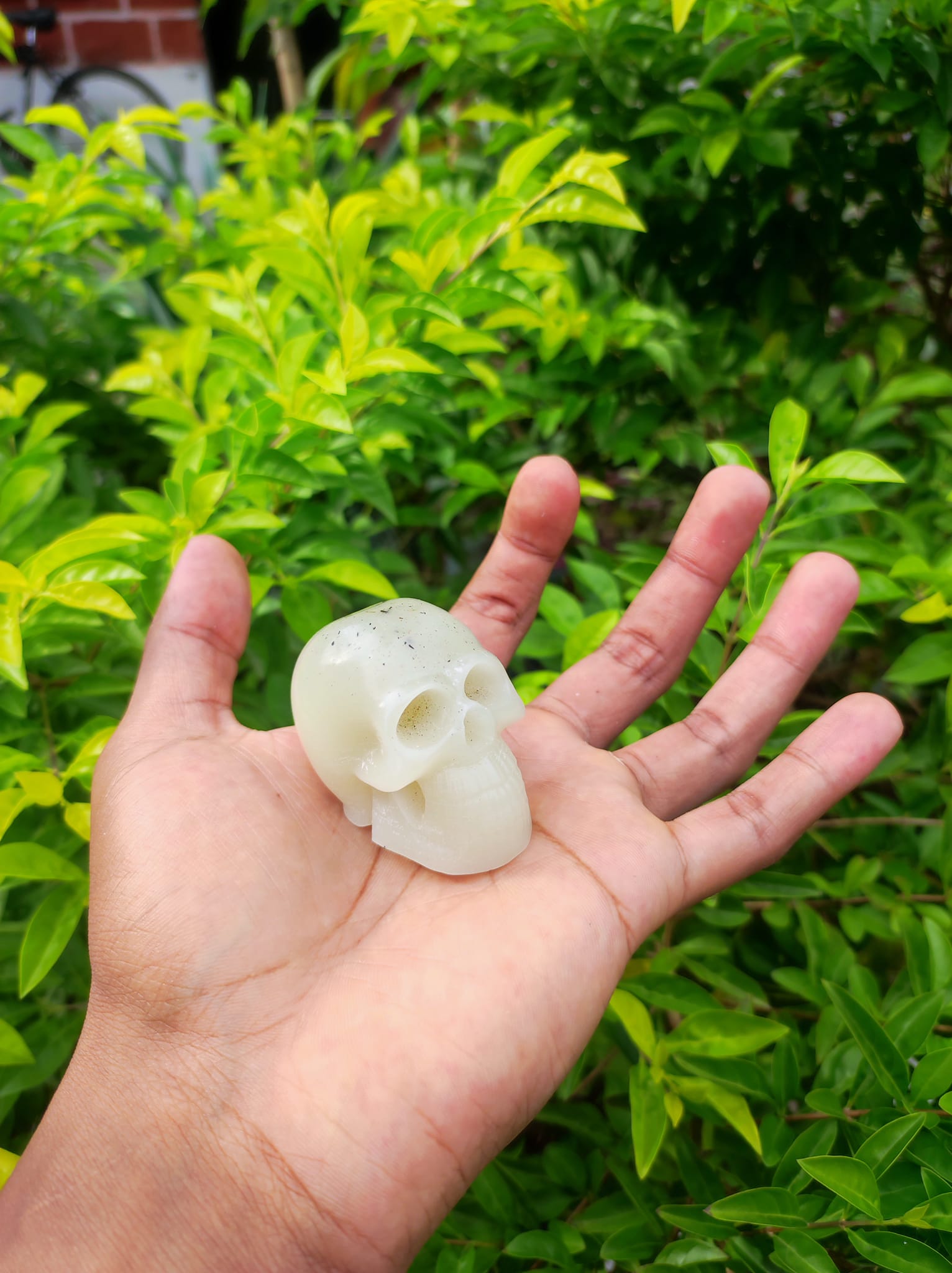 Ceras apokolips (Bmx y Skate)