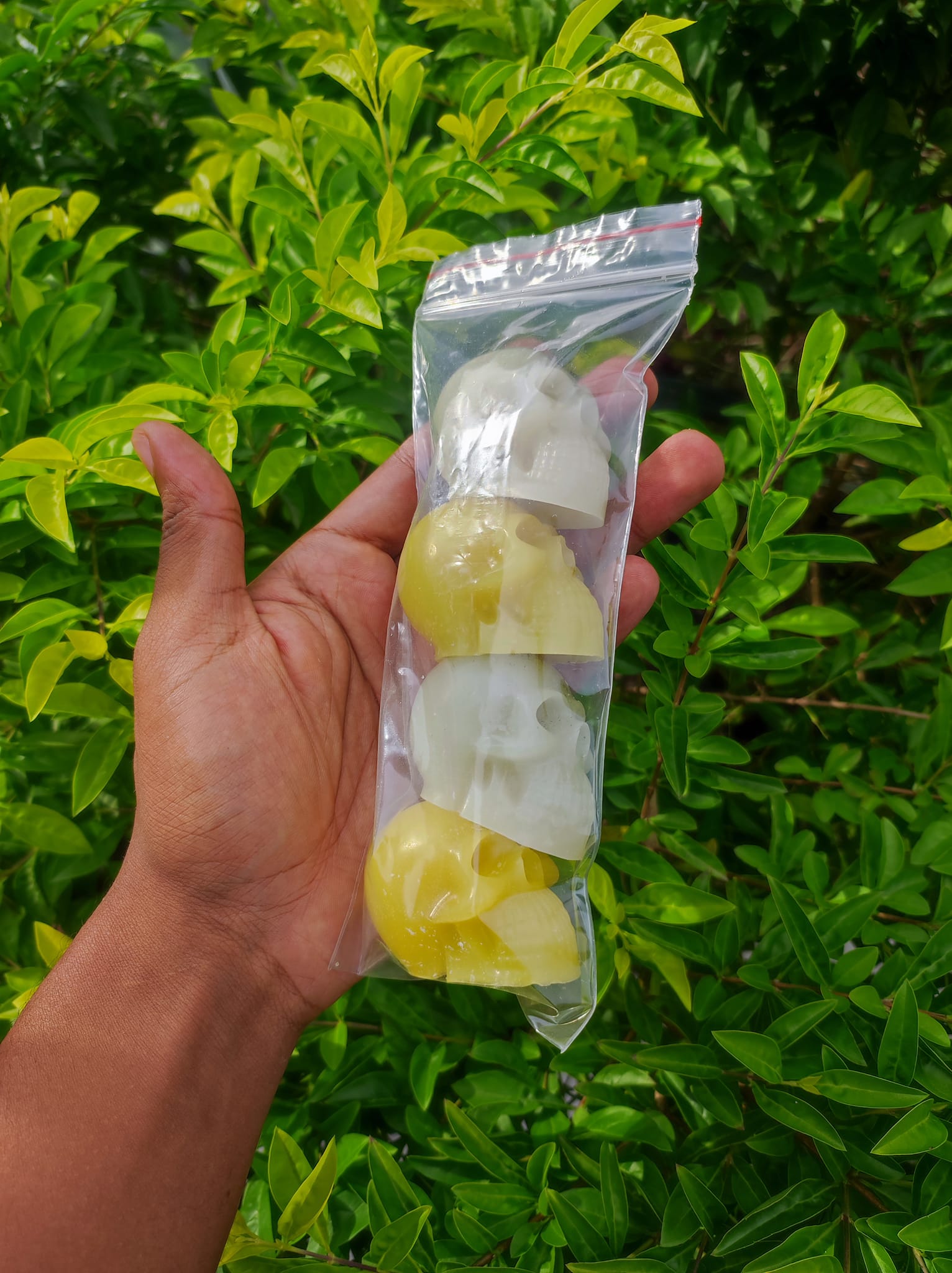 Ceras apokolips (Bmx y Skate)