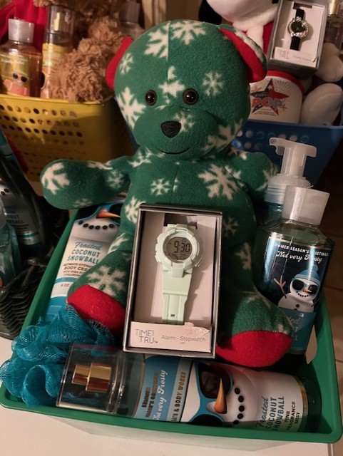 Green Snowflake Plush Bear Gift Basket