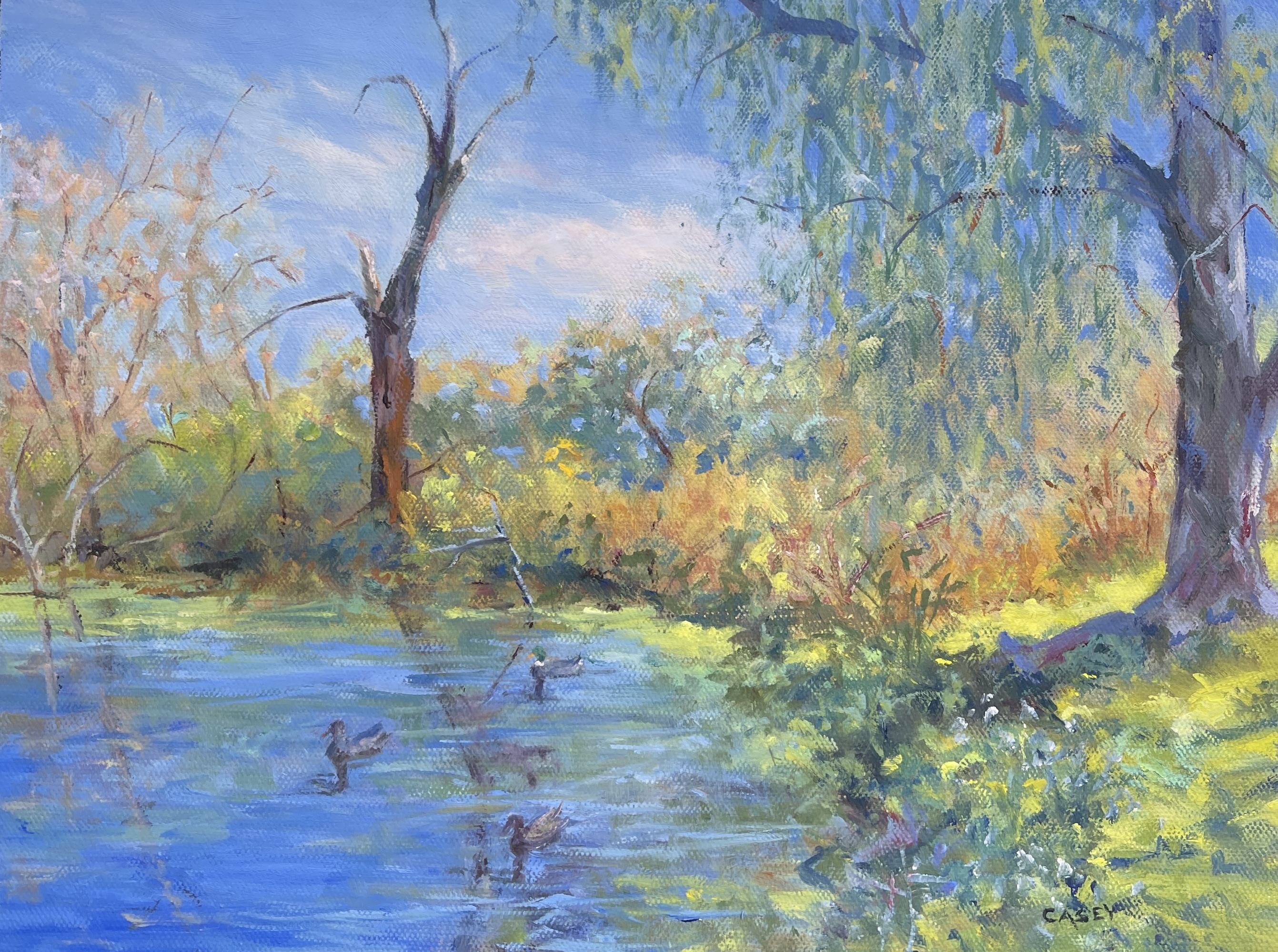 The Duck Pond @ Steven's Field oil painting 12x9