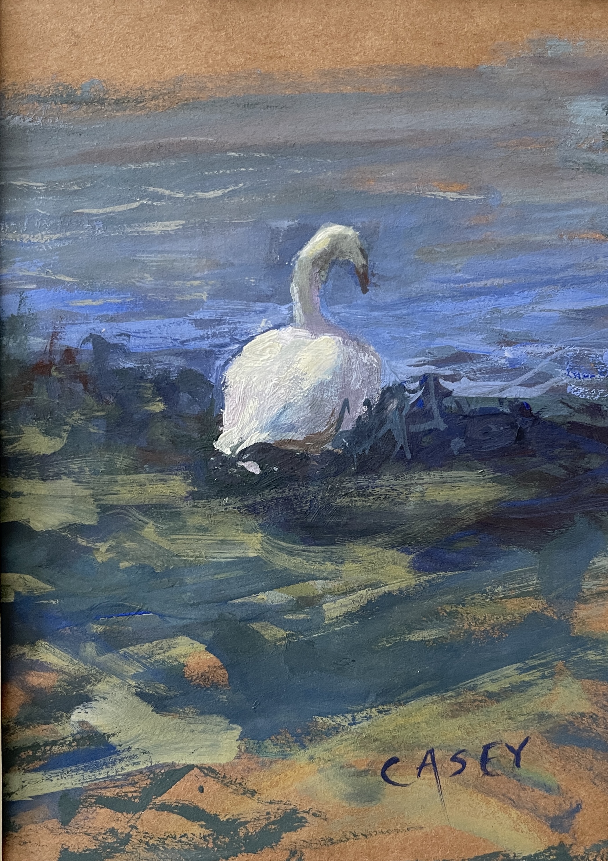 Swan 2 5x7