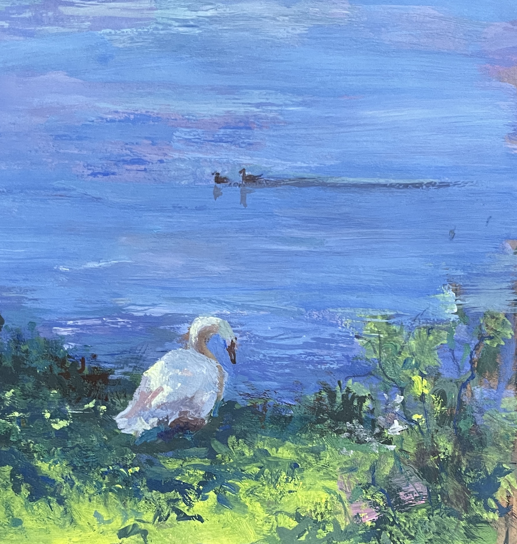 Swan 1 5x7