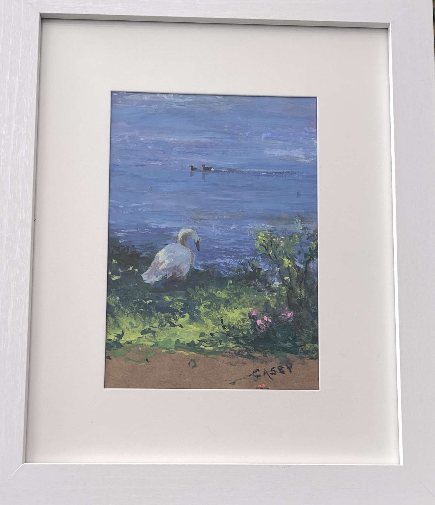 Swan 1 5x7