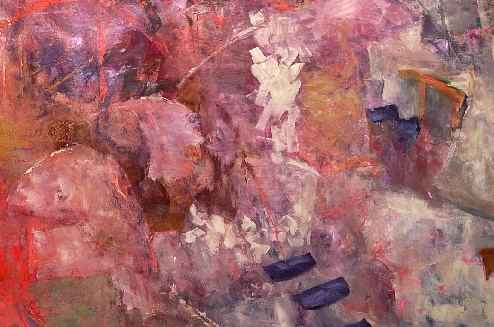 "Land of Contrasts & Curiosities" 48 x 80