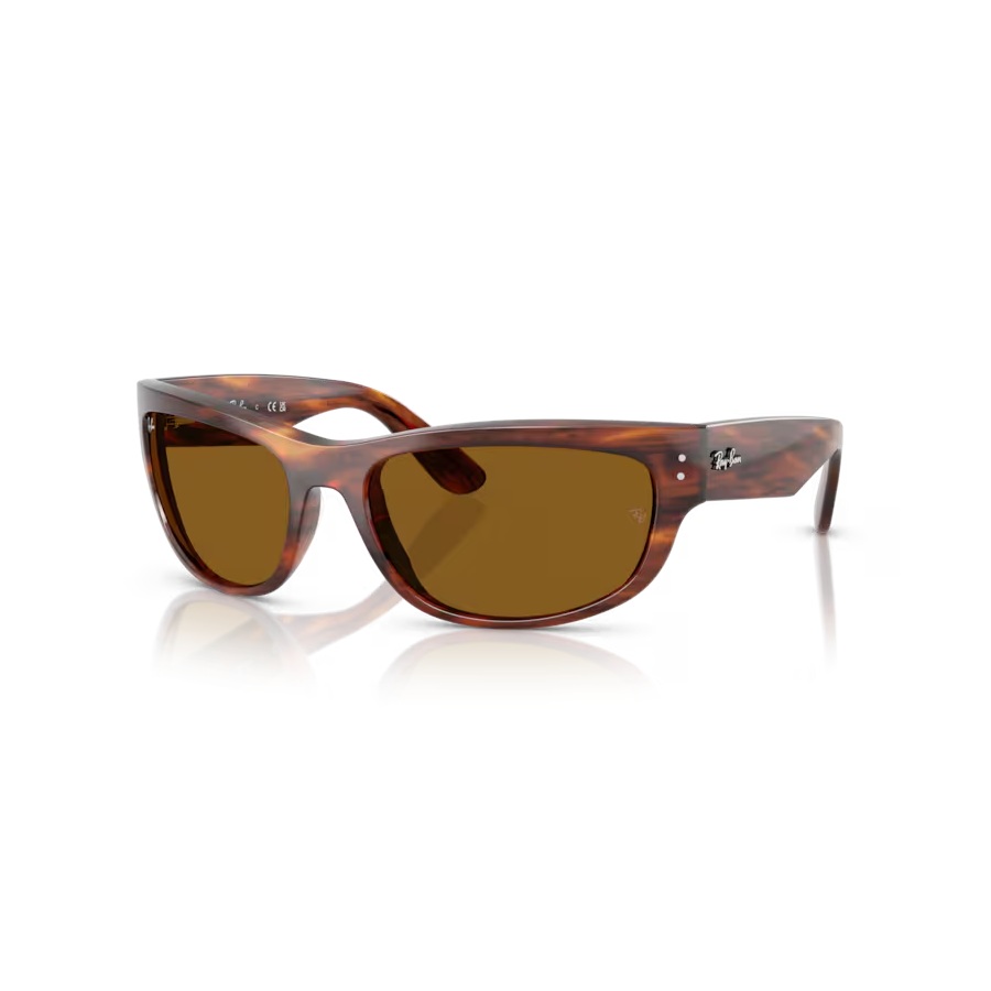 RAY BAN RB 2289 