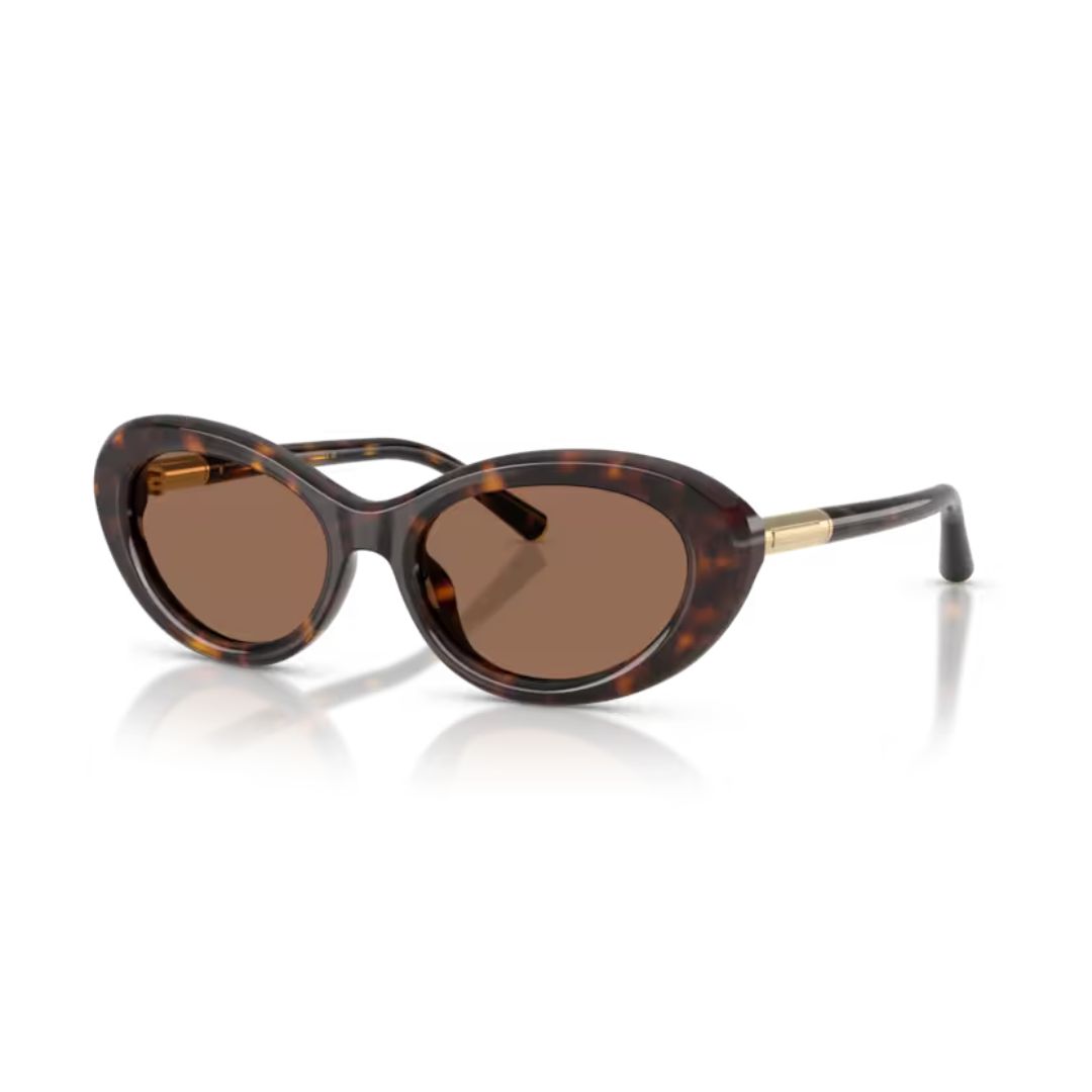 DOLCE & GABBANA DG 4519