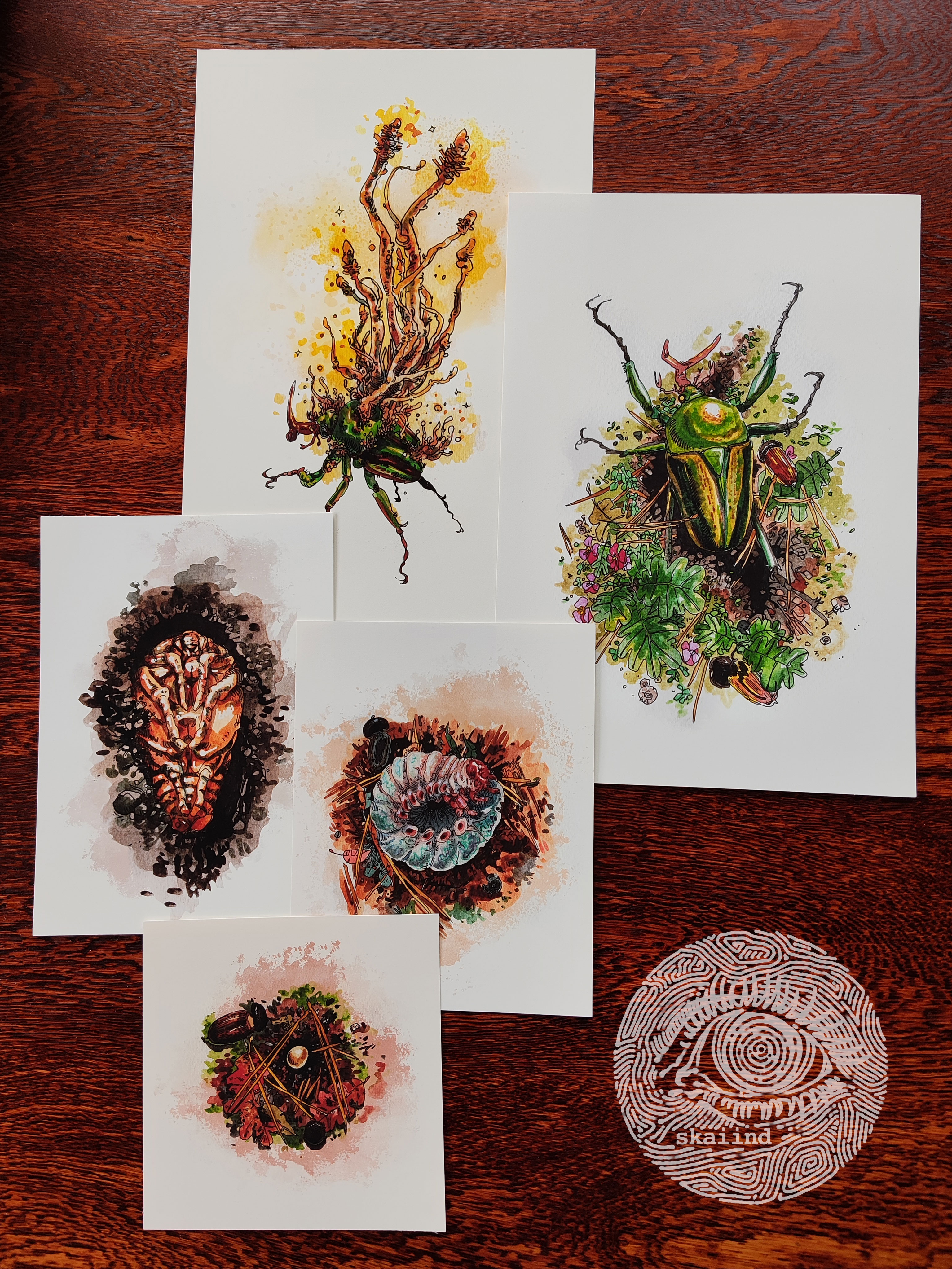 ART PRINT/S - BEETLE LIFE CYCLE