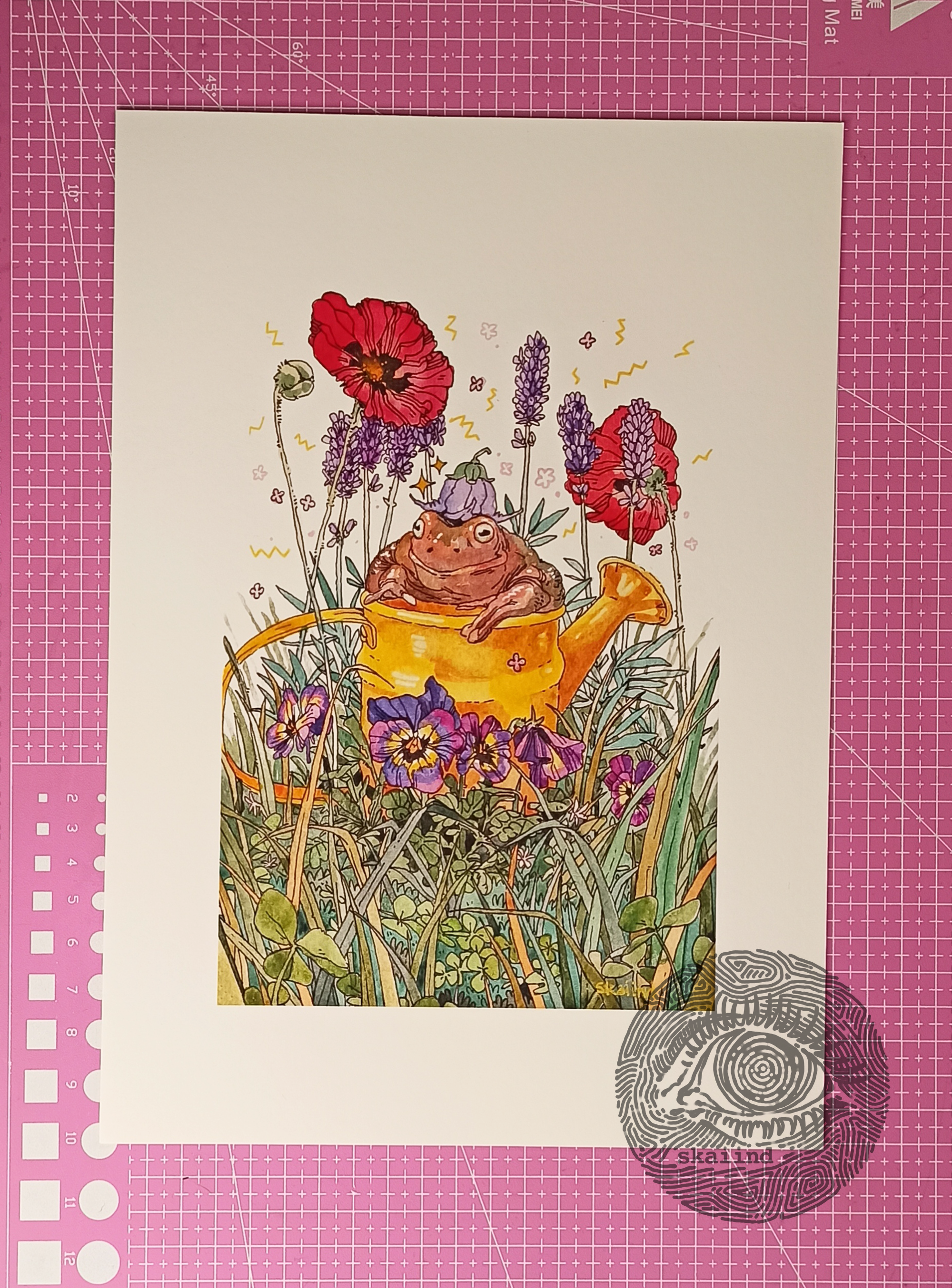ART PRINT - GARDEN TOAD