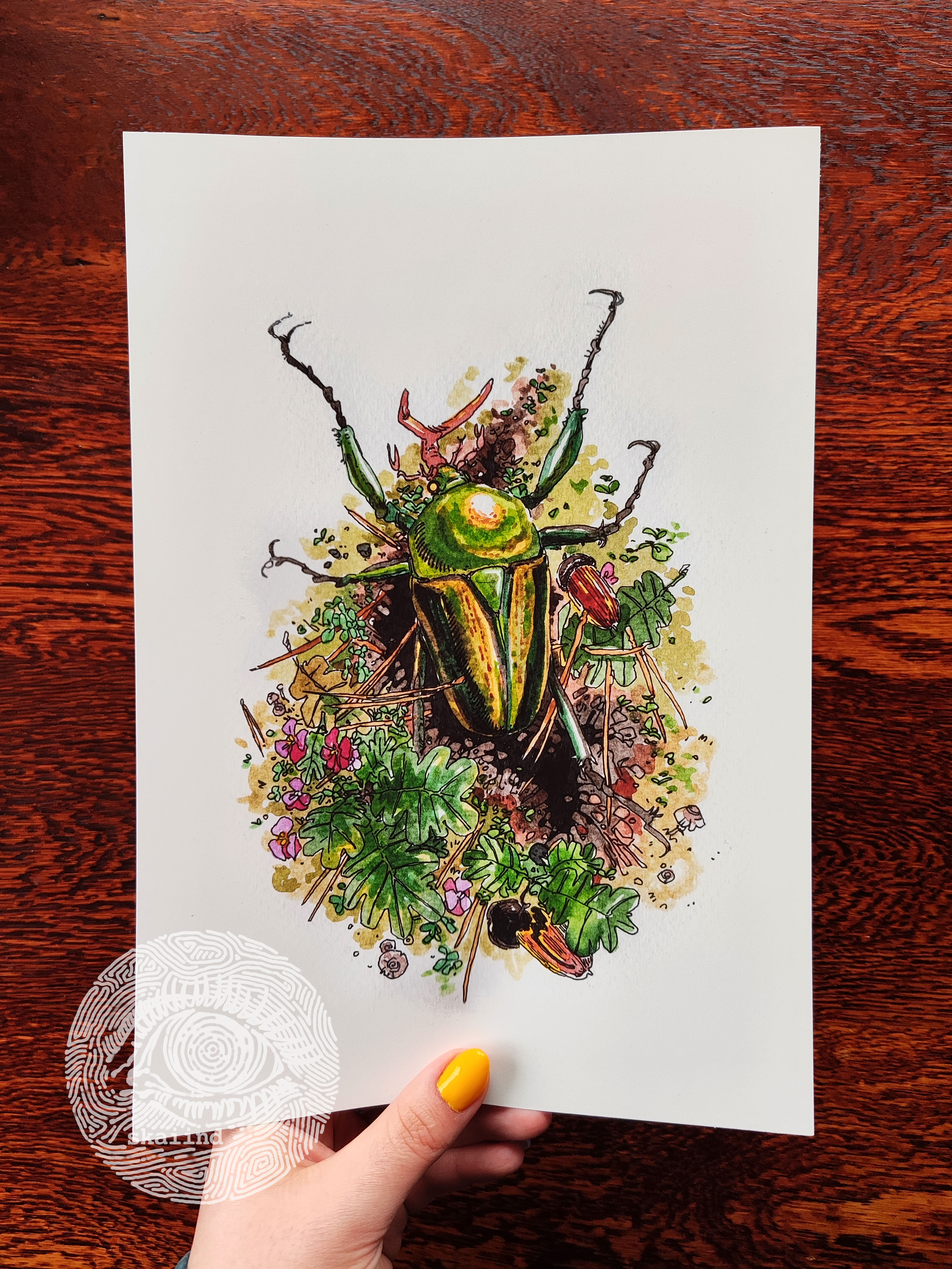 ART PRINT/S - BEETLE LIFE CYCLE