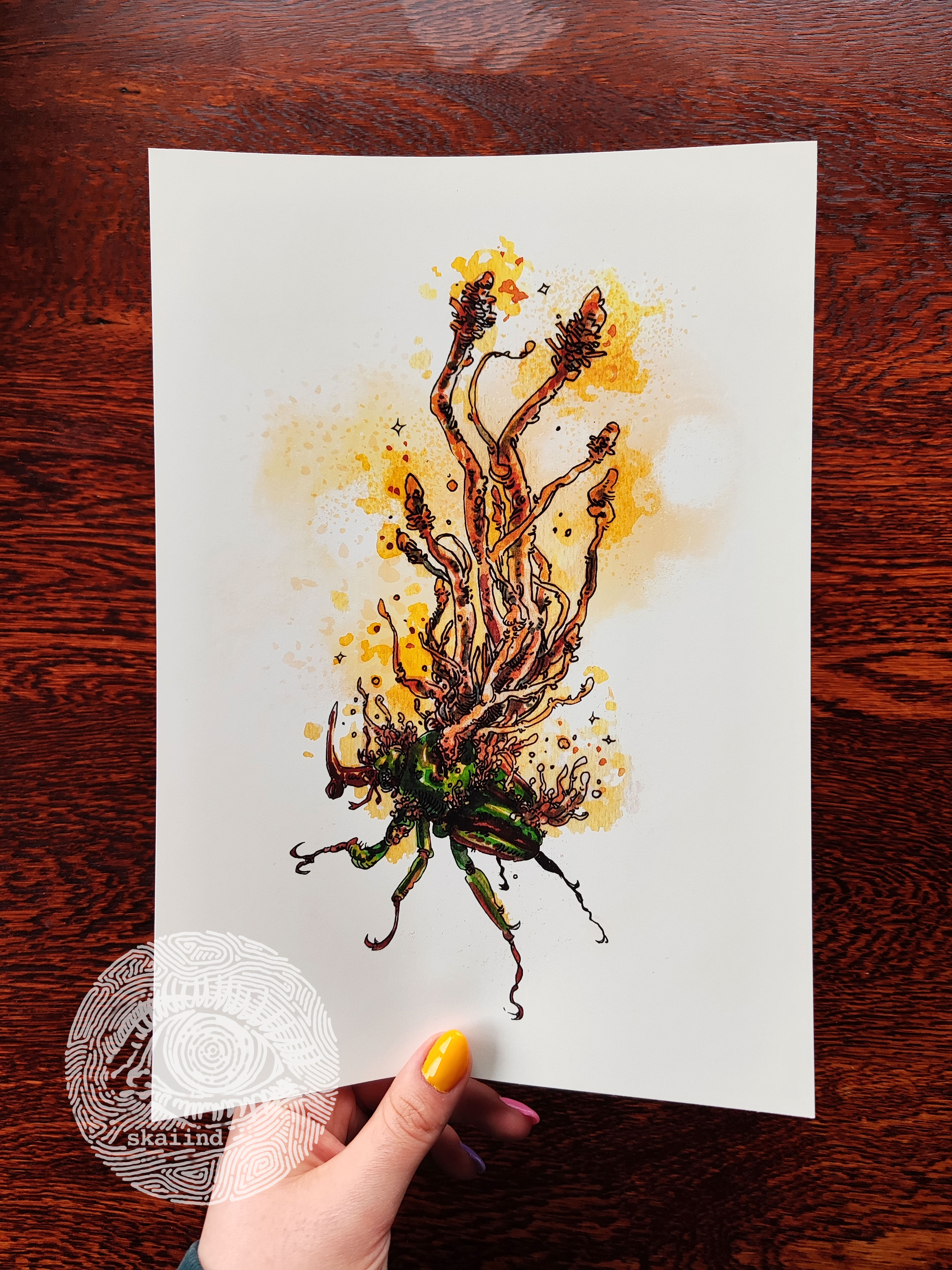 ART PRINT/S - BEETLE LIFE CYCLE