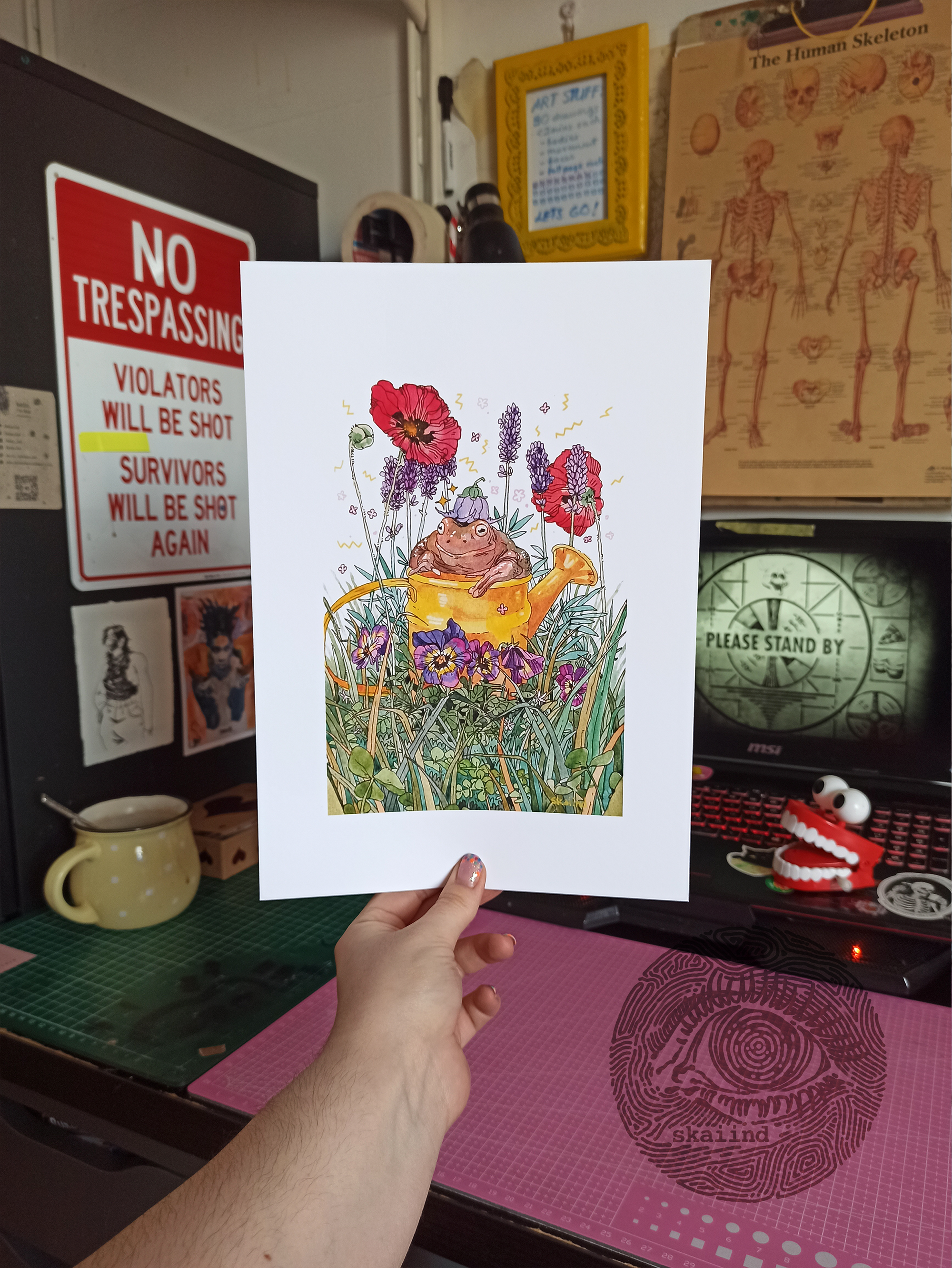 ART PRINT - GARDEN TOAD