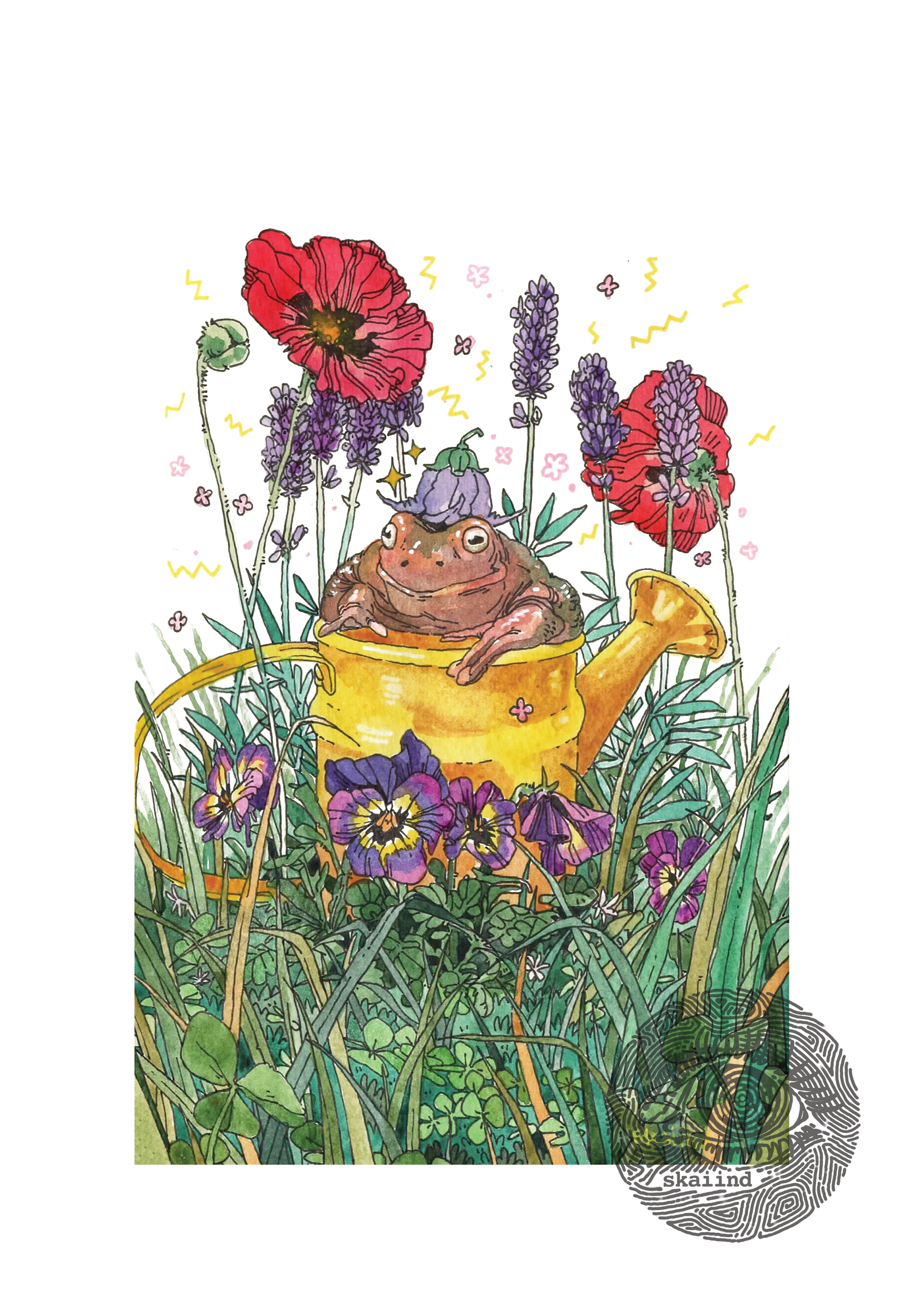 ART PRINT - GARDEN TOAD