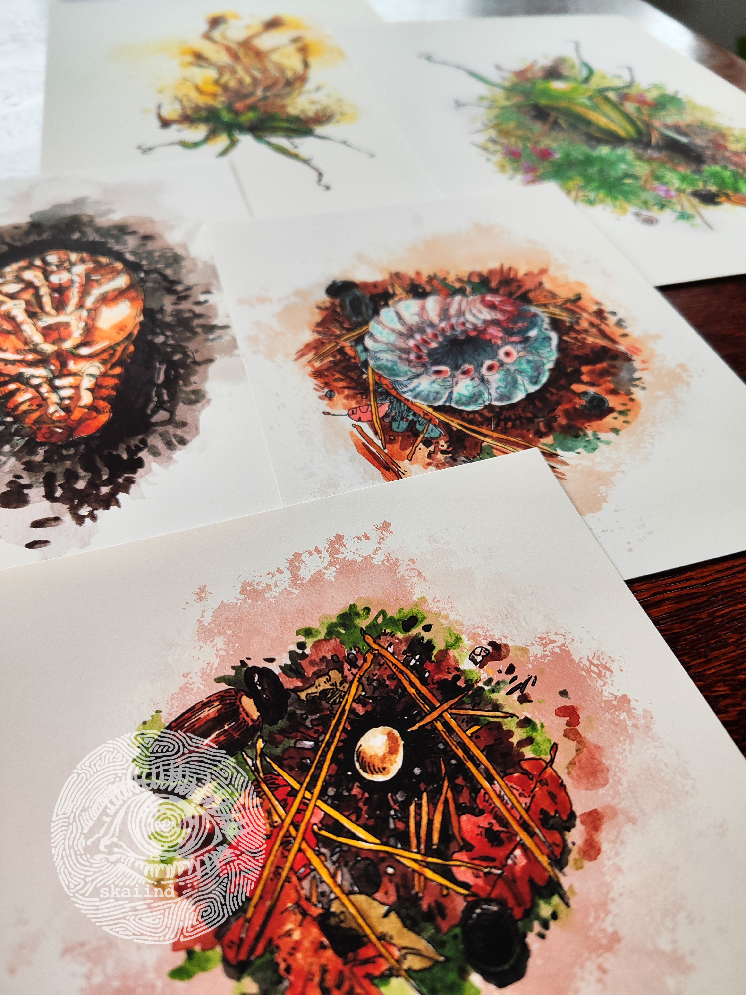 ART PRINT/S - BEETLE LIFE CYCLE