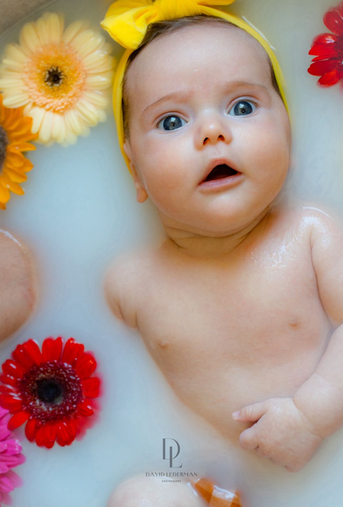 Premiers instants de vie