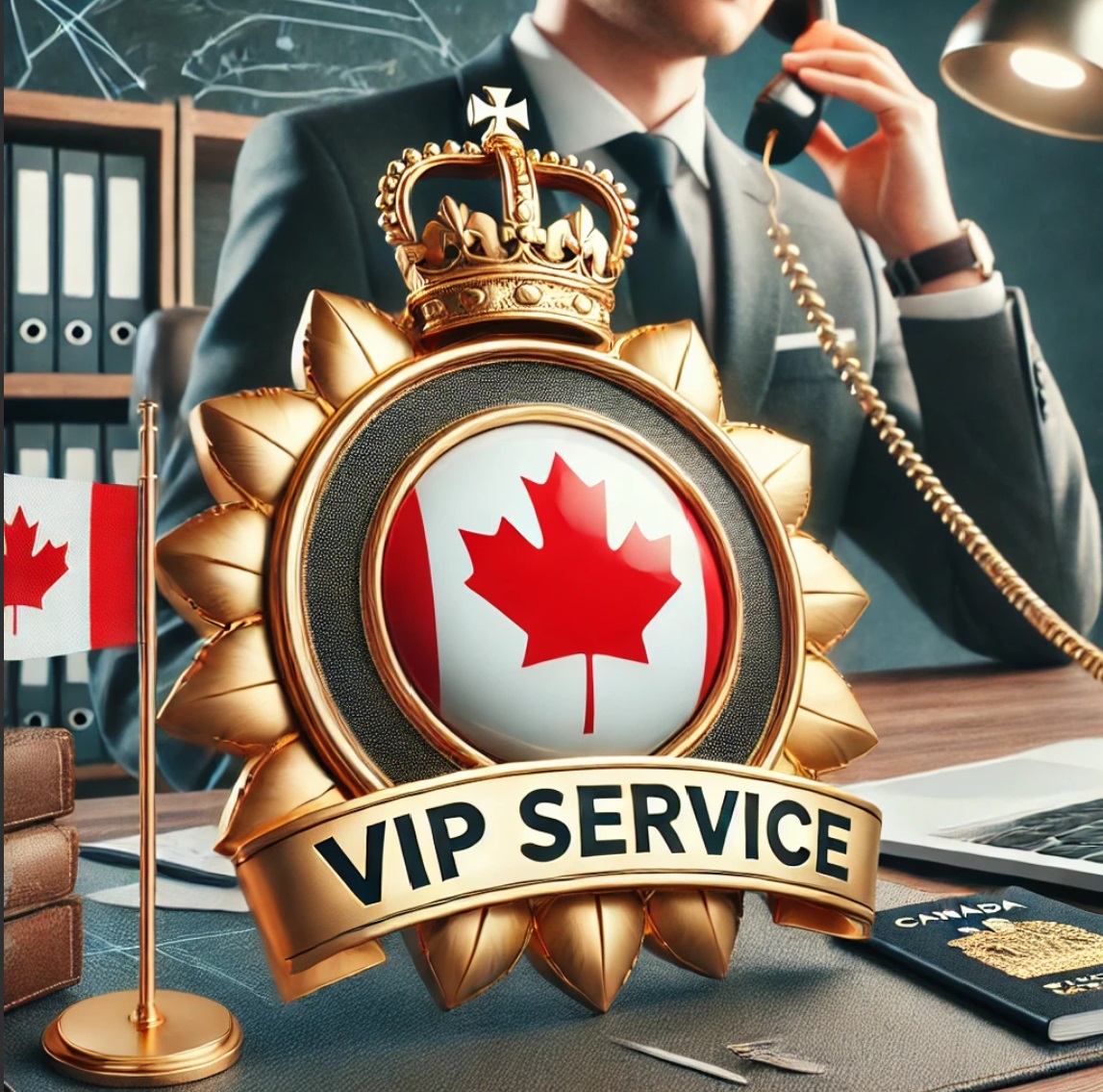 Consultoria General VIP EXPRESS Canadá - Llamada O Videollamada