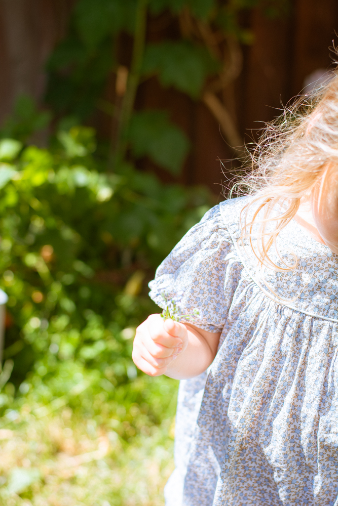 Zână cu chip frumos