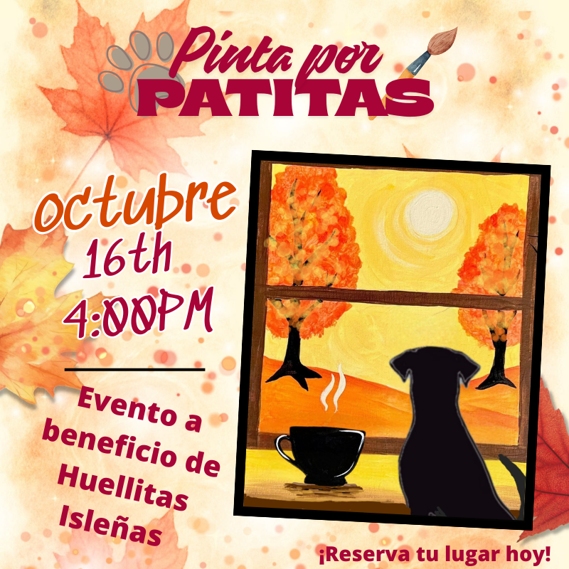 Paint for Paws Fundraiser Paint Event