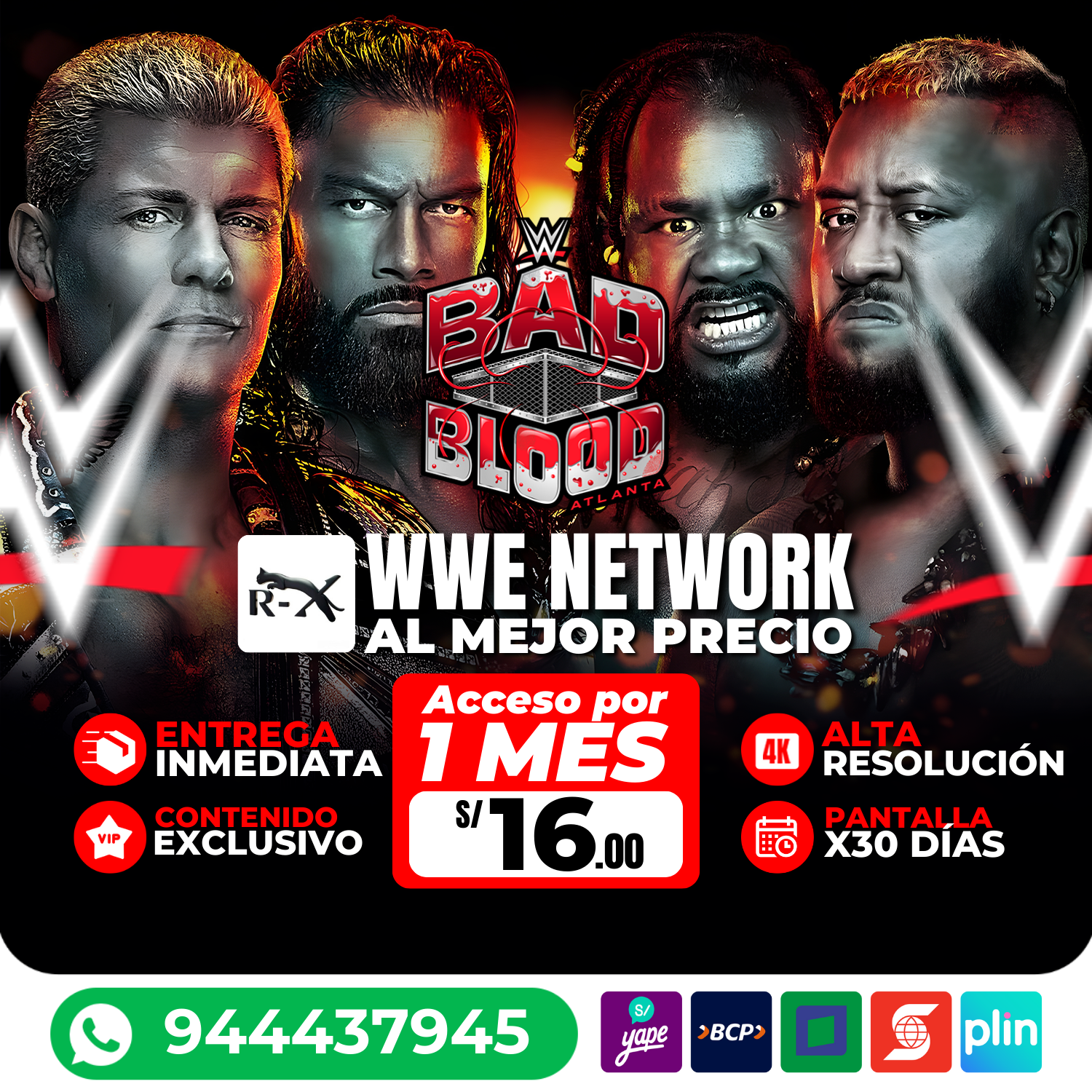 💥 WWE Network Completa 🤼‍♂️🔥