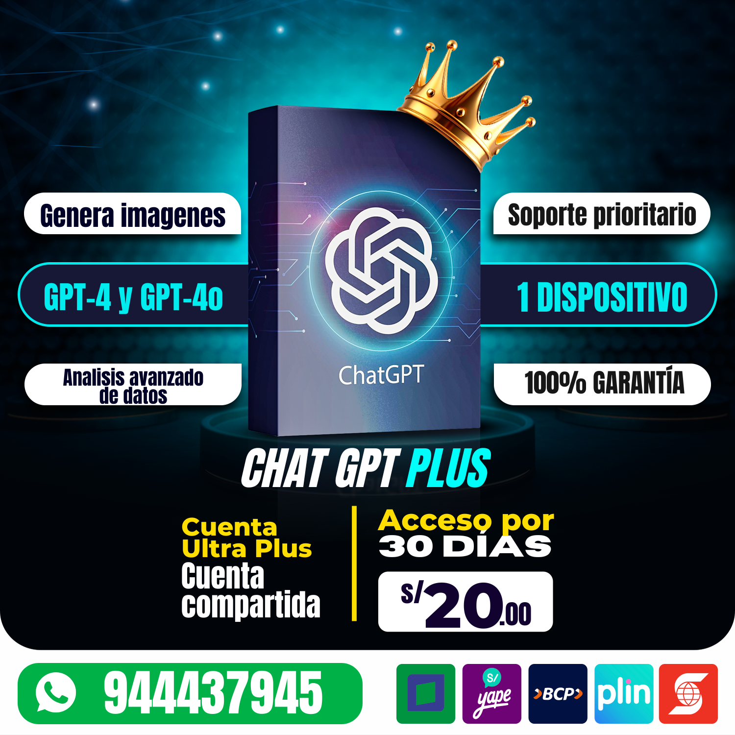 🚀ChatGPT Plus 