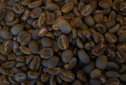 Arabica (Semi Wash)