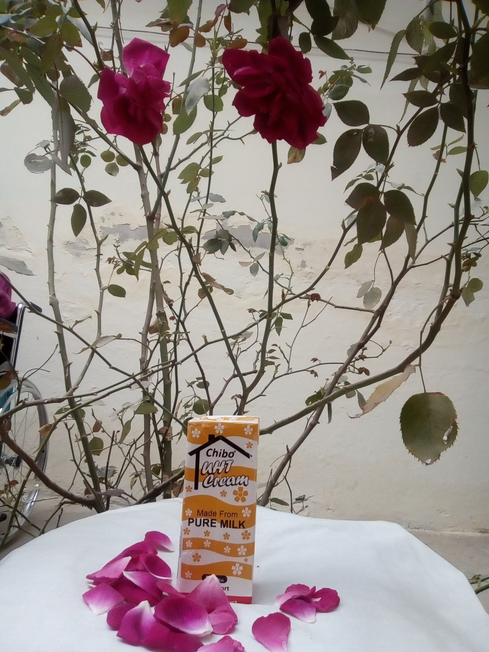 Pure Milk Cream 20% Fat – Organic Iranian Chibo UHT Full Cream | خالص ایرانی دودھ کی کریم – 20% فیٹ، قدرتی ذائقے کے ساتھ