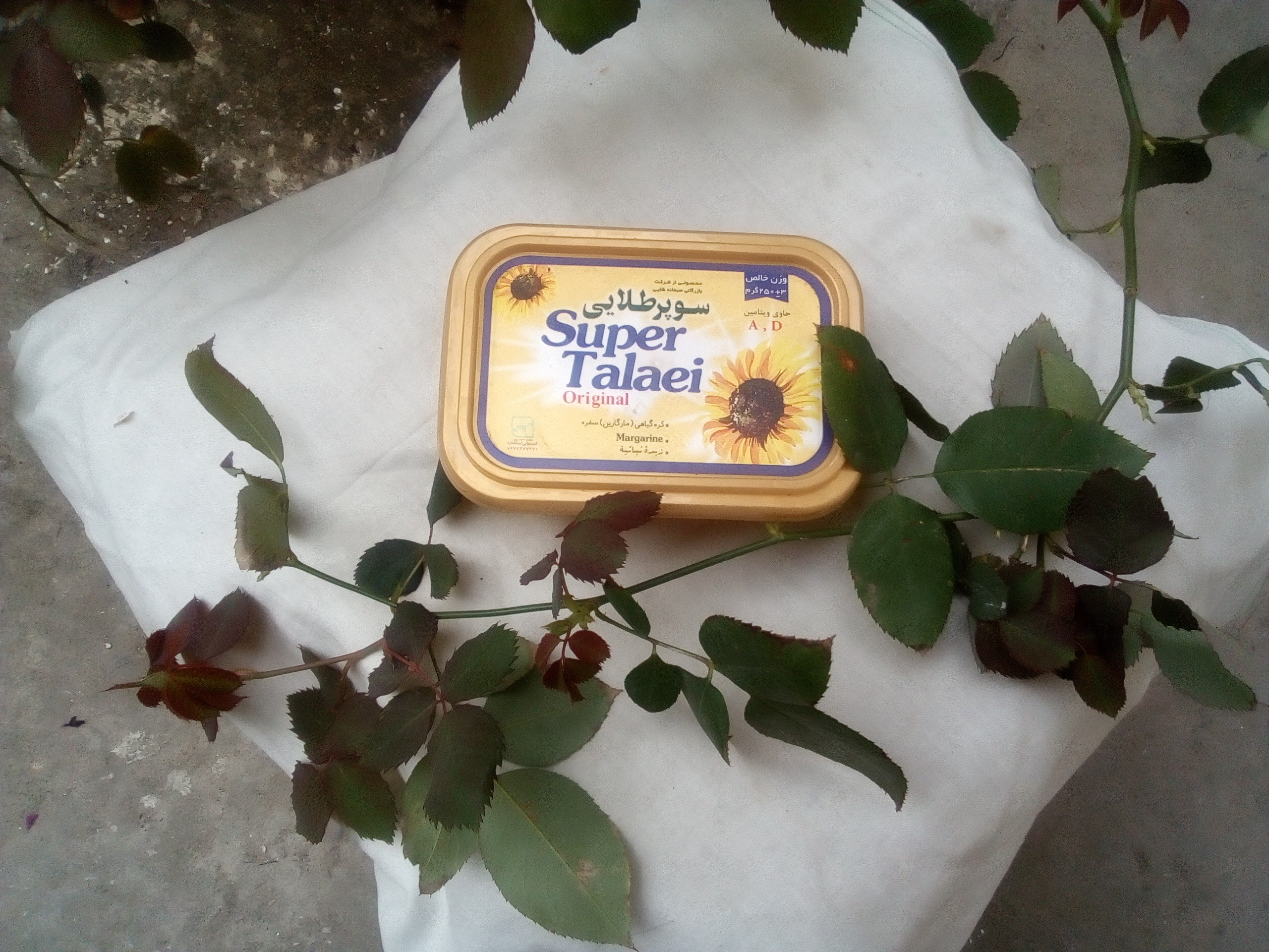 Premium Organic Iranian Margarine – Fat-Free, Healthy Butter Alternative Made from Plant Oils | ایرانی مارجرین – 100% فری فیٹ، صحت مند مکھن کا متبادل