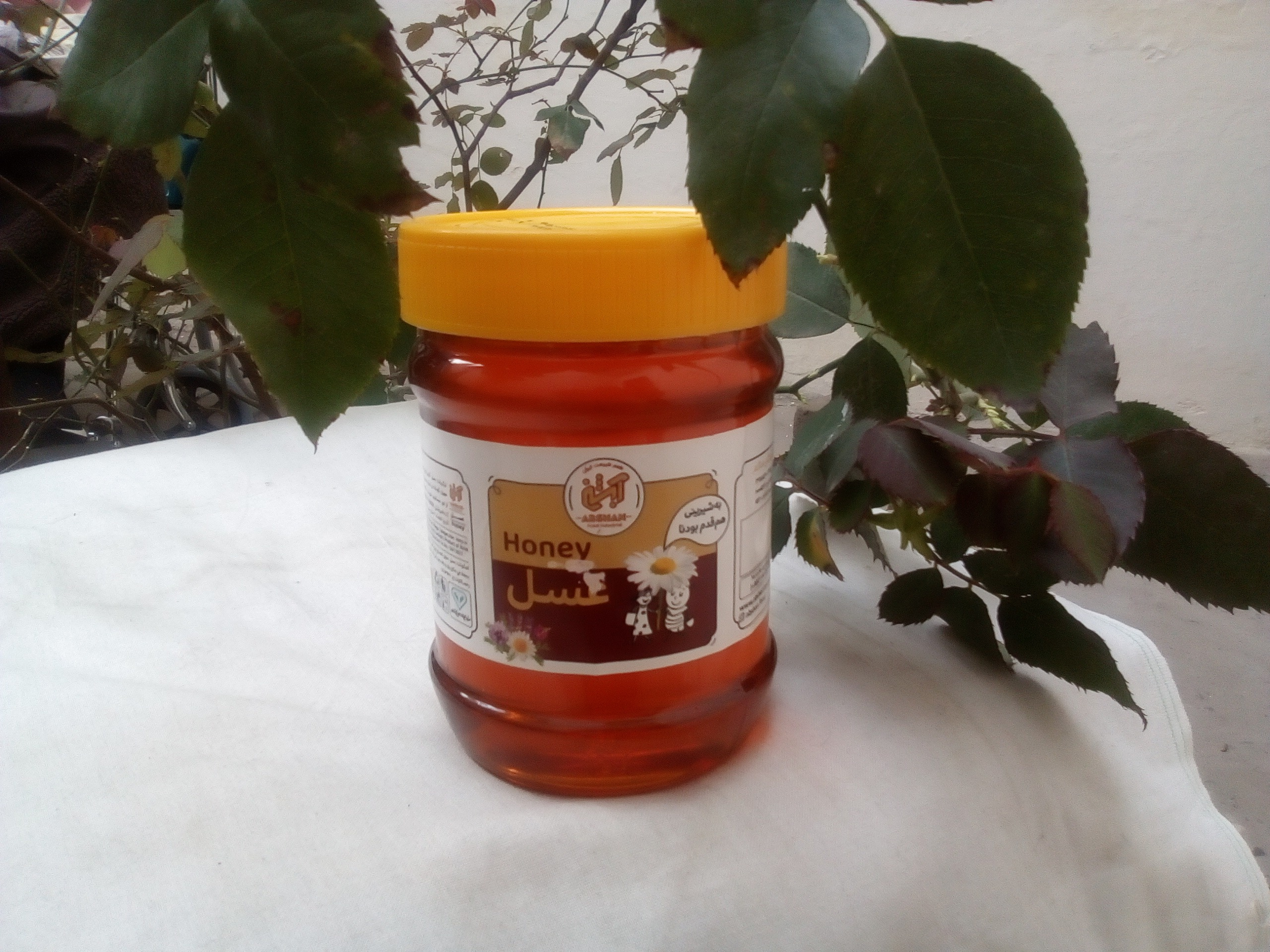 Premium Pure Iranian Sidr Honey  500GM– Buy Raw Organic Honey Online | Best for Diabetics, Health & Immunity شہد ایران | خالص، دیسی شہد برائے مدافعت اور شوگر مریض
