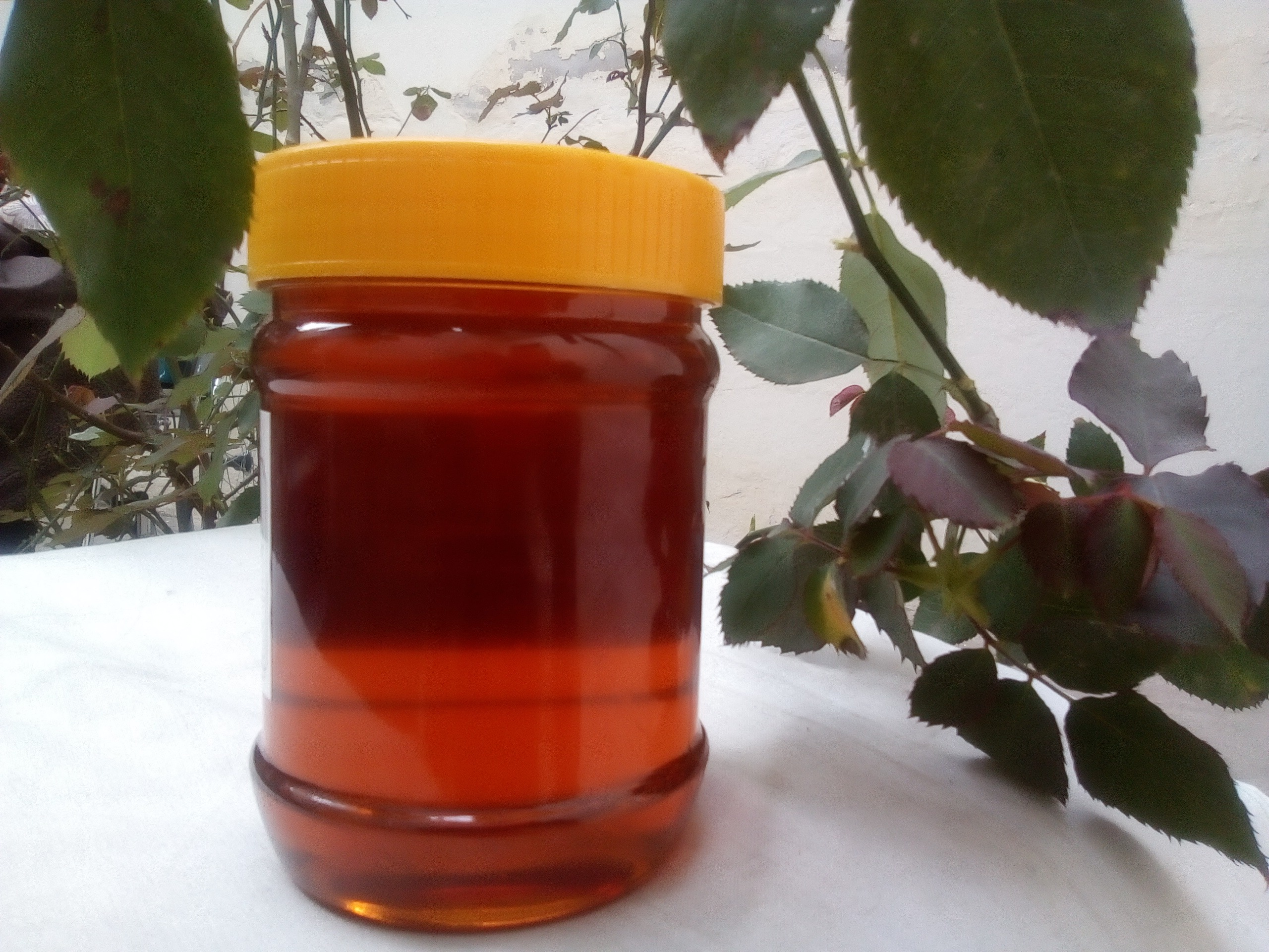 Premium Pure Iranian Sidr Honey  500GM– Buy Raw Organic Honey Online | Best for Diabetics, Health & Immunity شہد ایران | خالص، دیسی شہد برائے مدافعت اور شوگر مریض