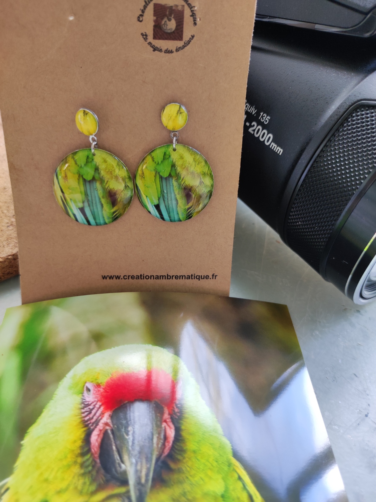 Boucles d'oreilles plume perroquet