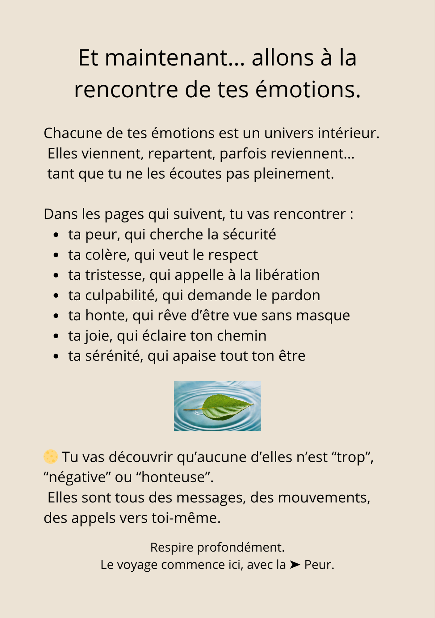 Carnet Émotionnel Apaisant · 46 pages de guidance, rituels & écriture intérieure 🌿