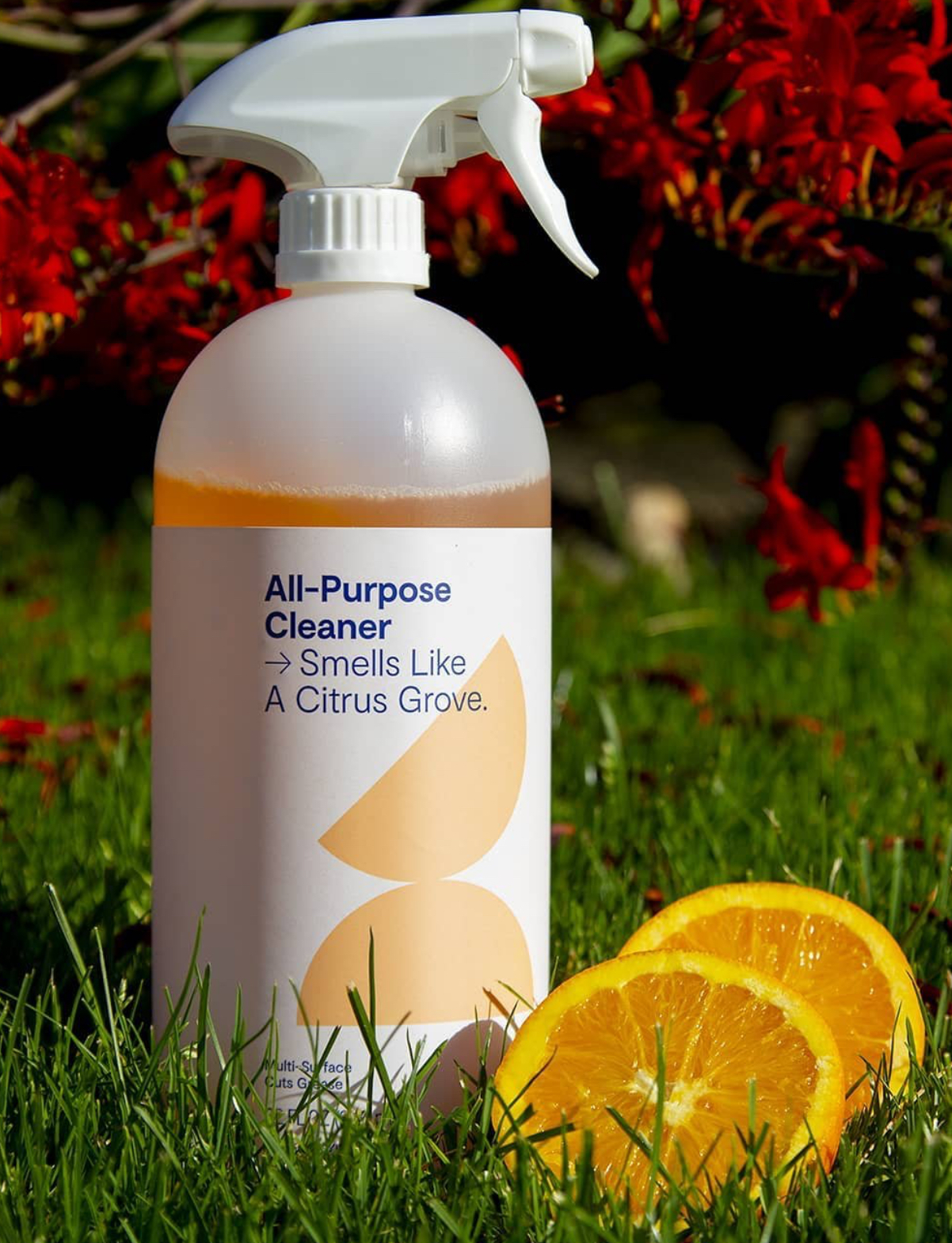 Smartly Citrus Grove All-Purpose Cleaner.