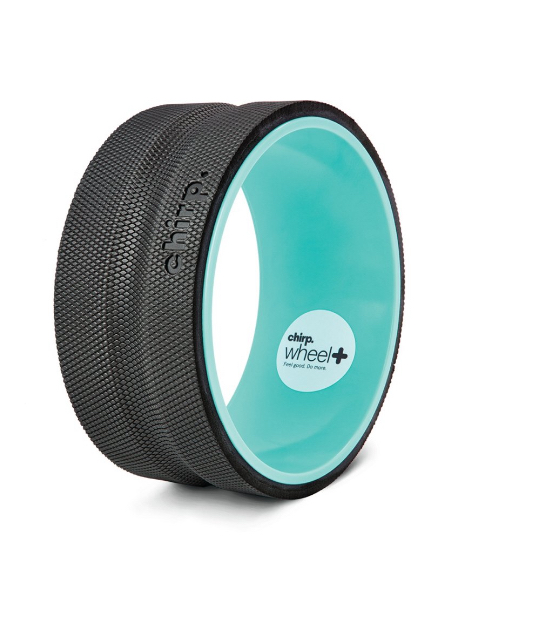 Chirp Plus 10 in Back Stretcher Wheel