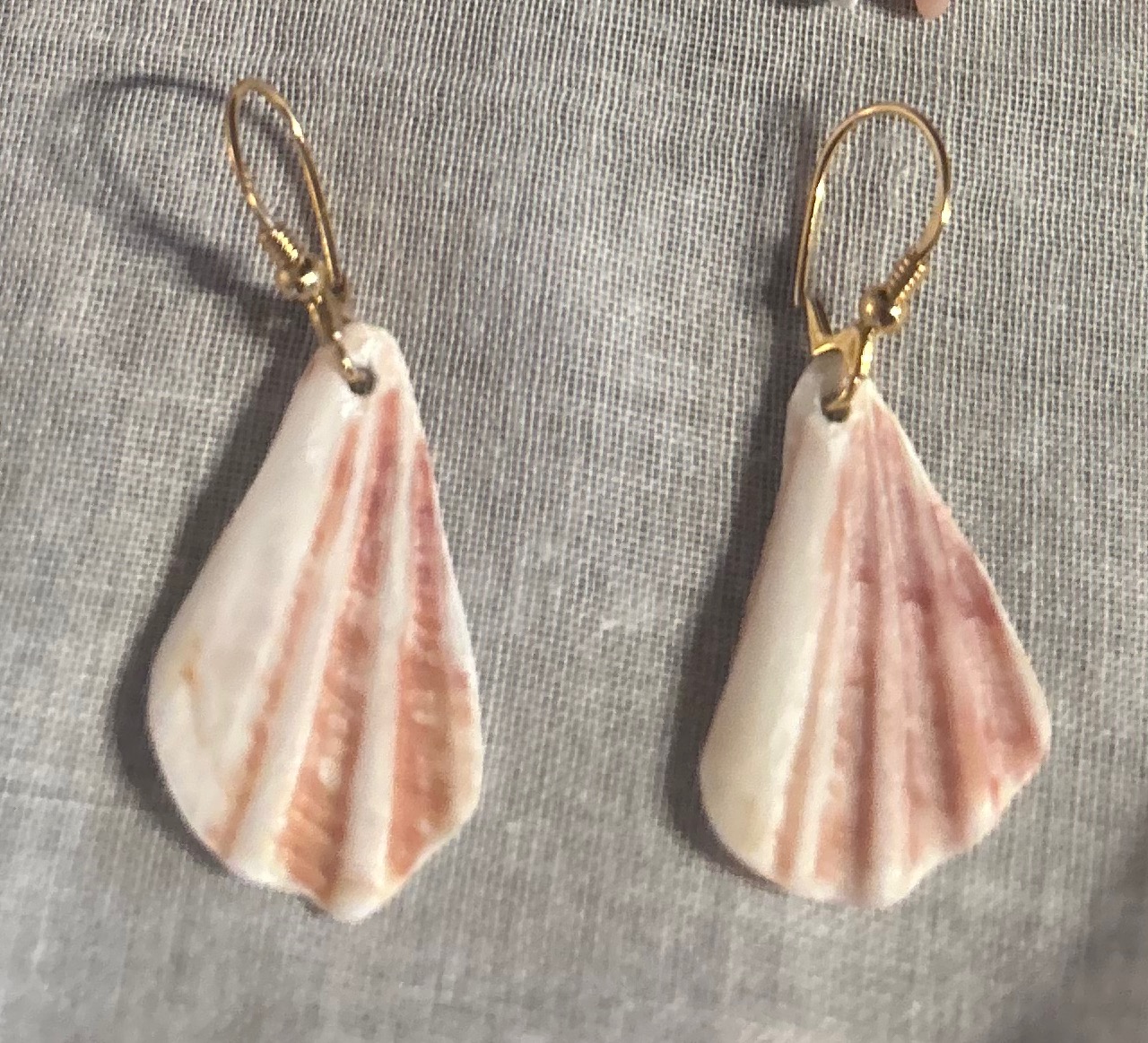 Seashell Earrings