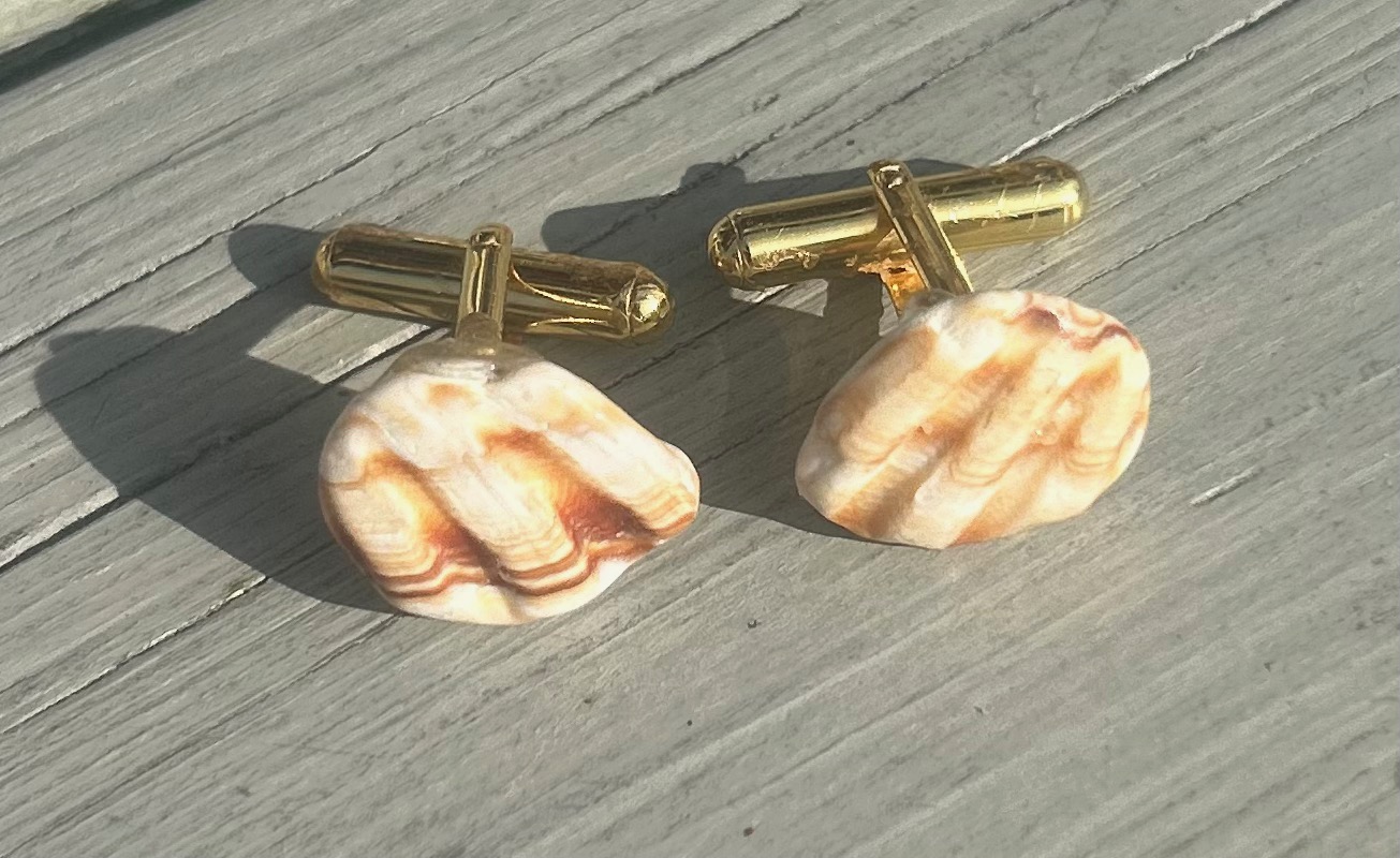 Shell Cufflinks