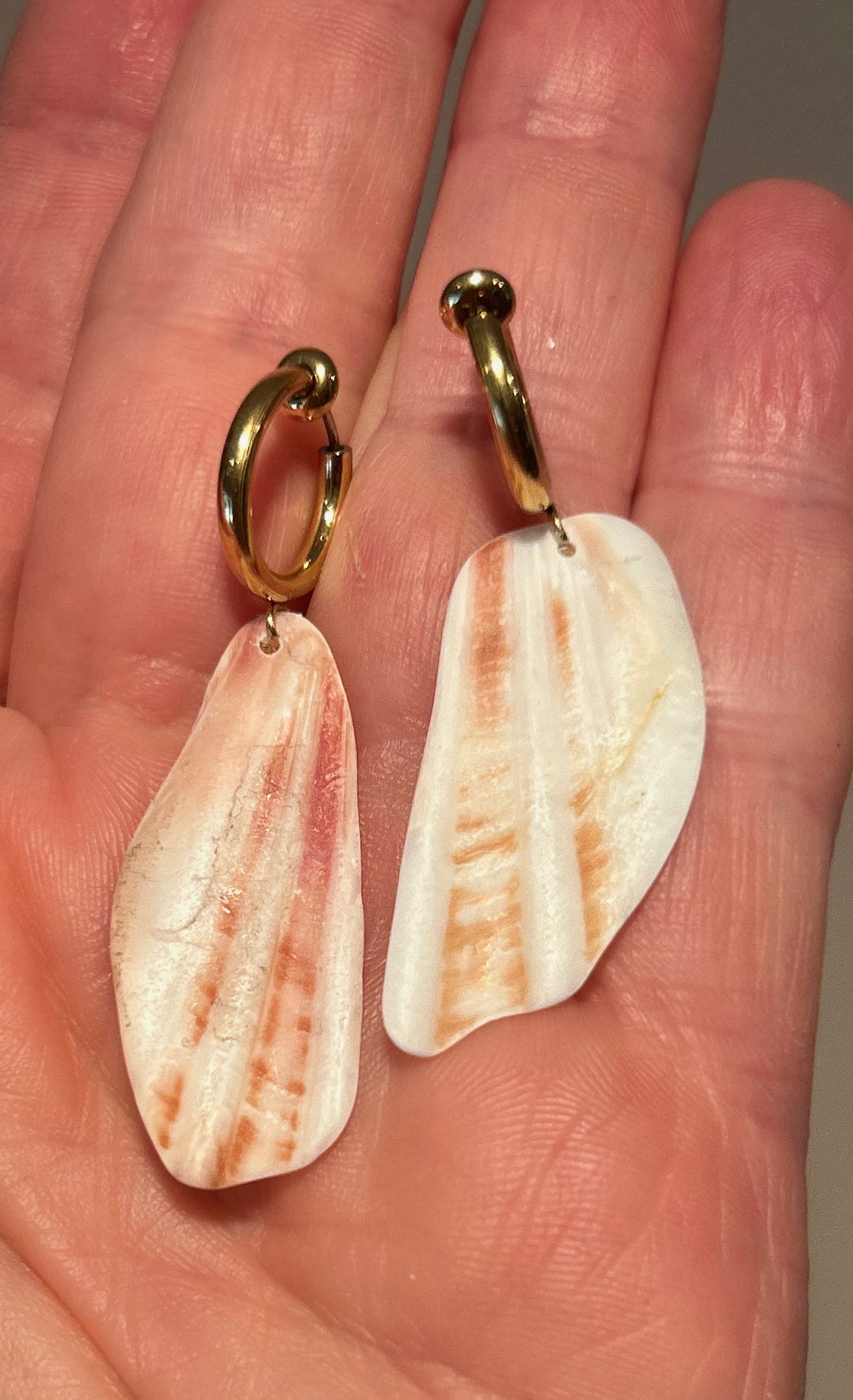 Shell Earrings