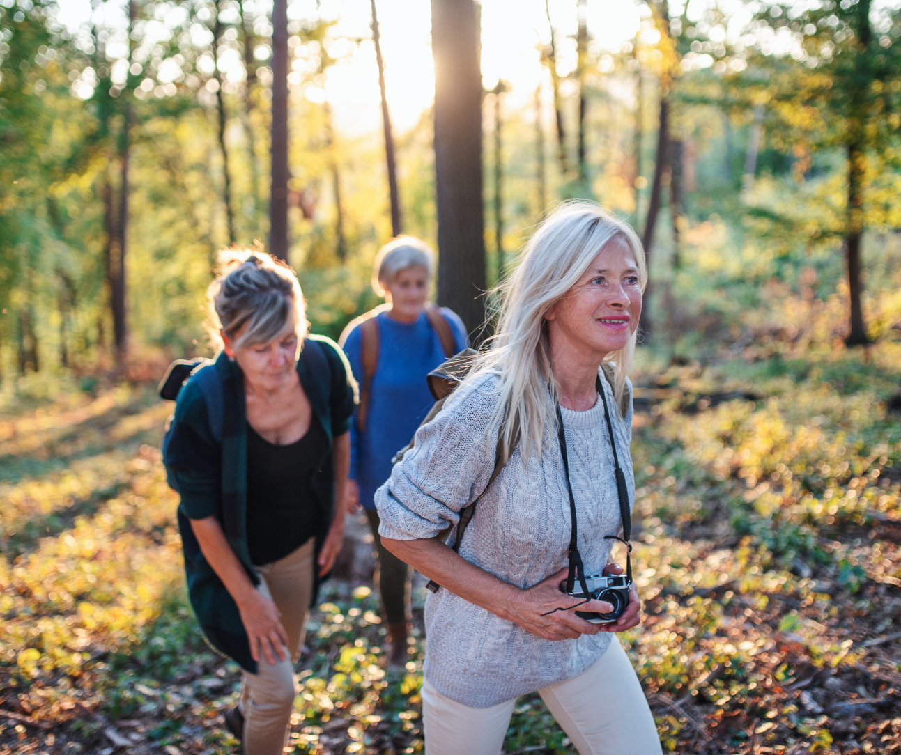 Ecotherapy Wellness Walk through Ancient Woodlands- Lake Como