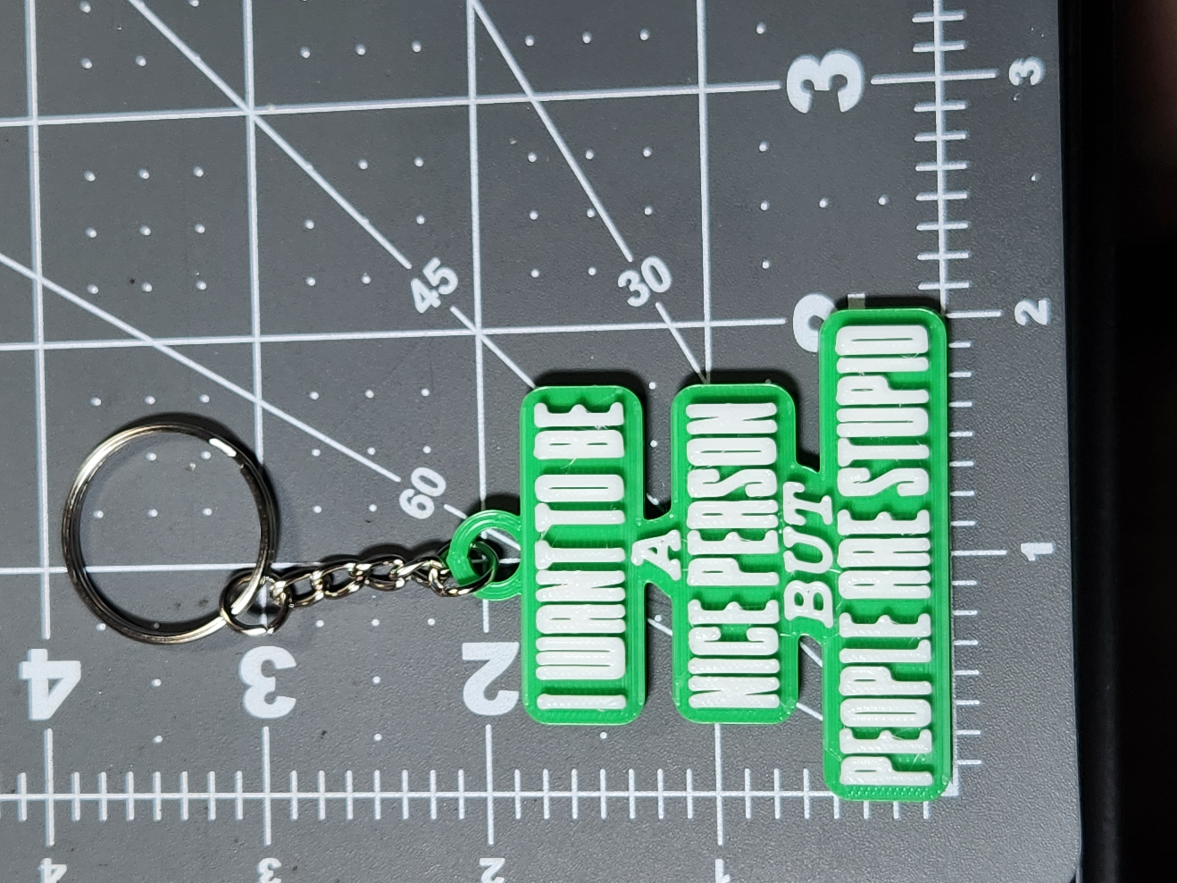 "I Want to Be a Nice Person but People are Stupid" Hologram 3D Printed Green Keychain