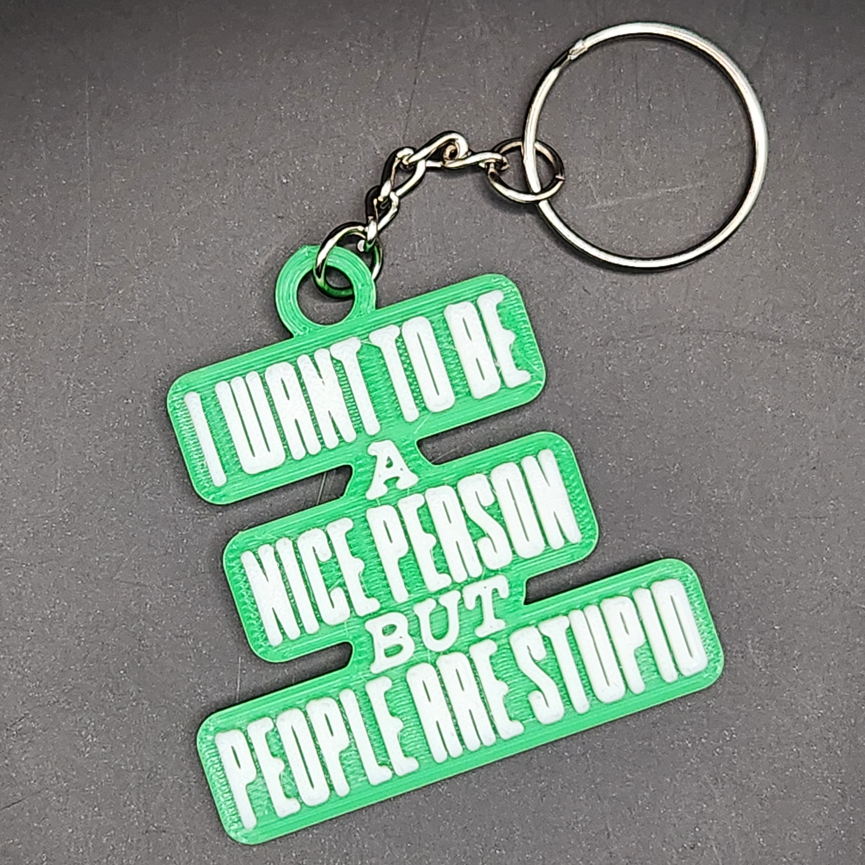 "I Want to Be a Nice Person but People are Stupid" Hologram 3D Printed Green Keychain