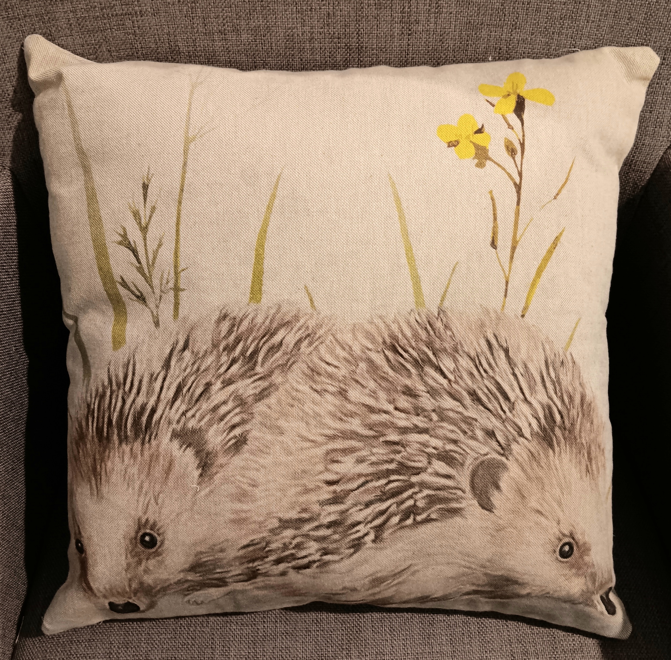 Hedgehog Cushion