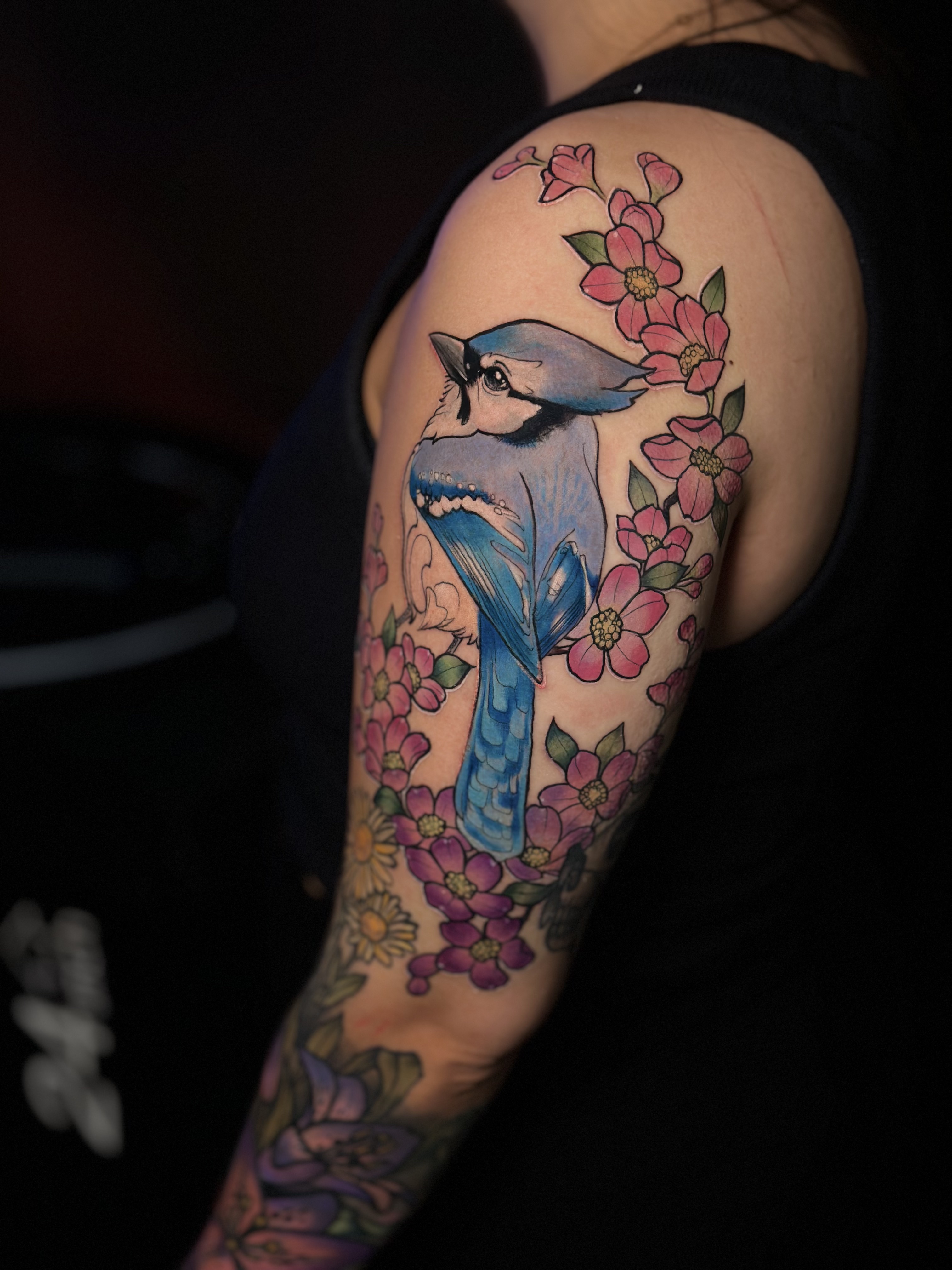 Blue Jay Arm Tattoo