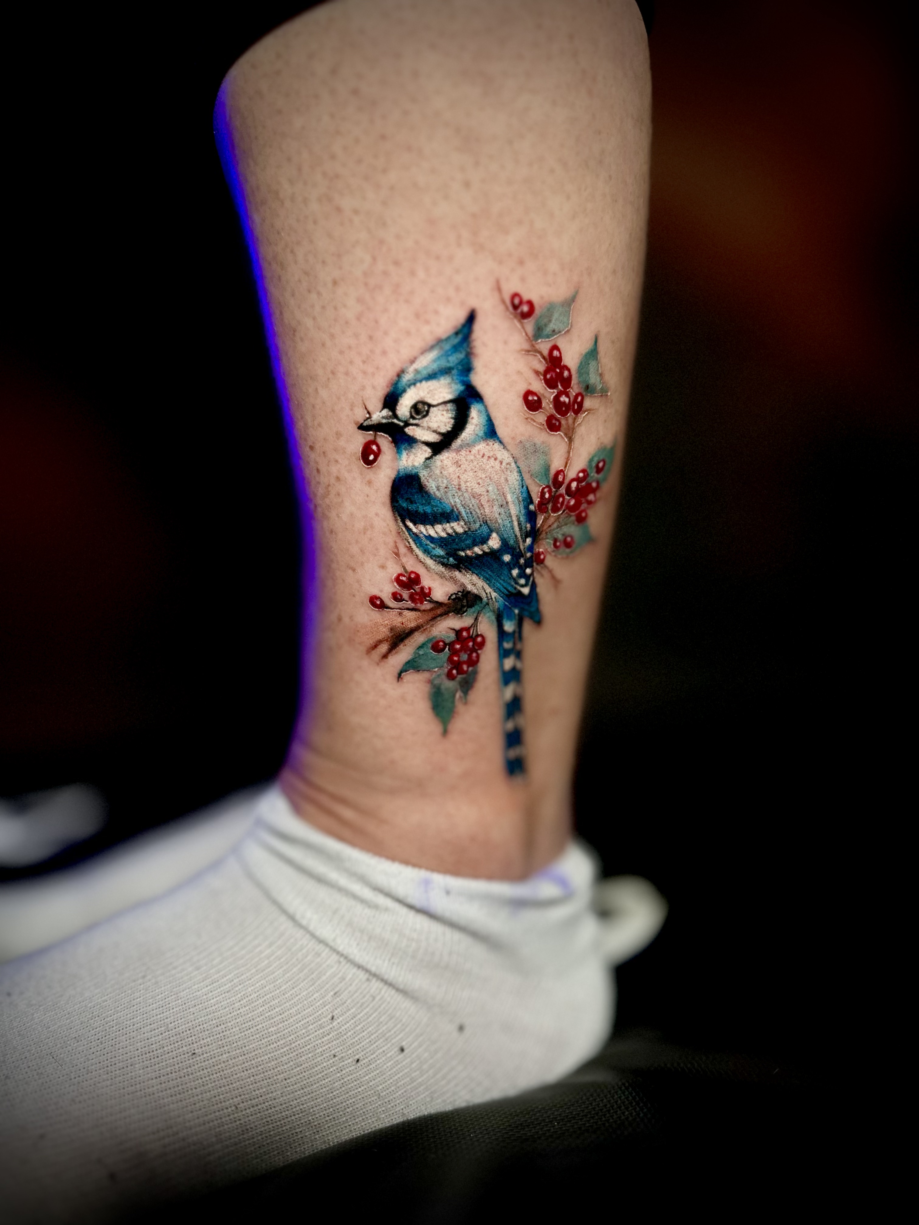 Blue Jay Tattoo