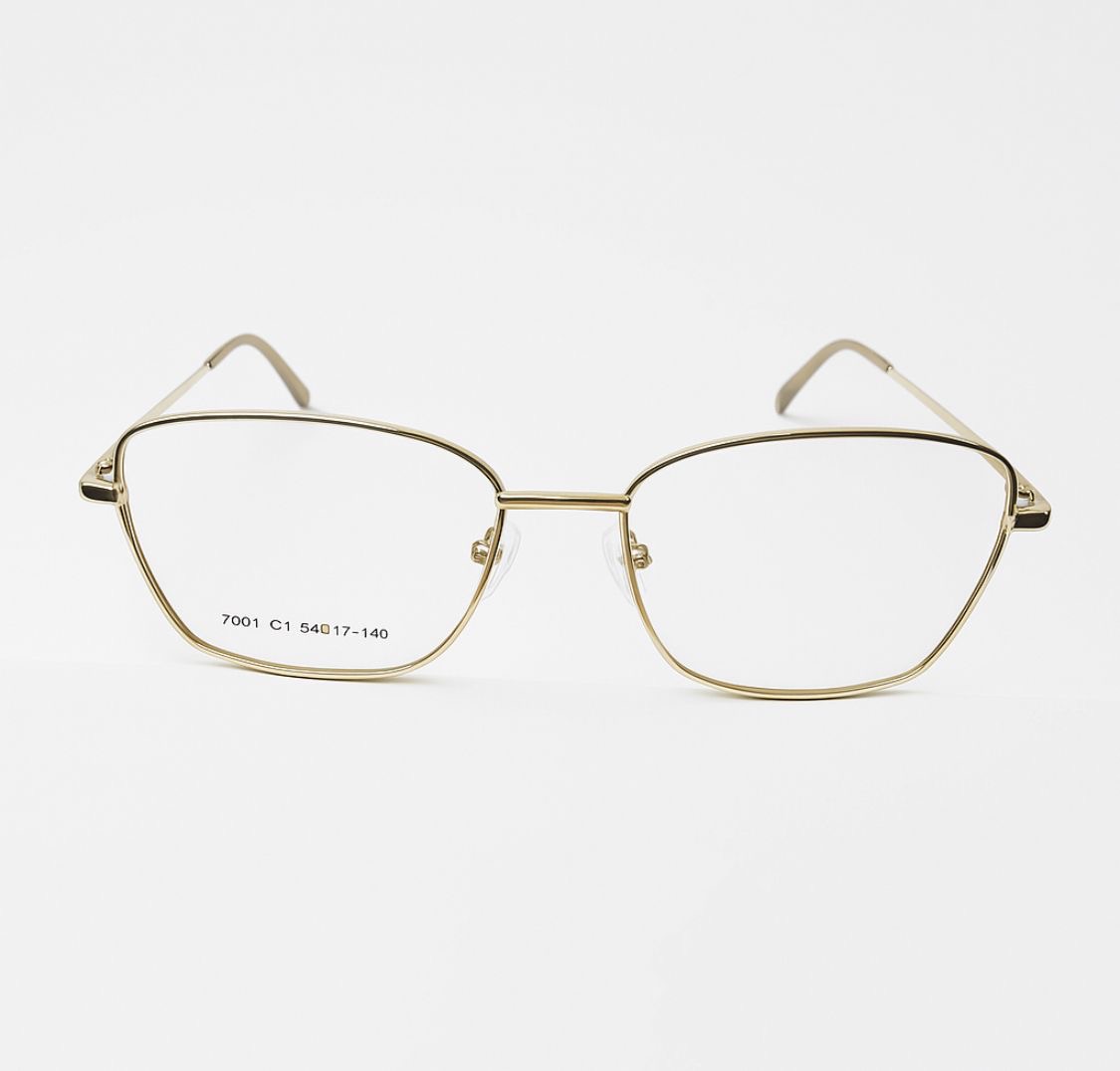 Armazones de Metal Premium 7001