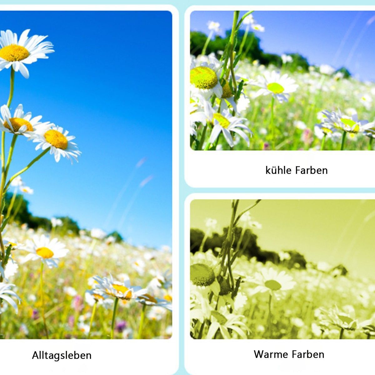 TEKOO Digitalkamera: 44MP Foto, 1080P Video, 16x Zoom, Kompaktkamera, Reisekamera || TEKOO Digital Camera: 44MP Photo, 1080P Video, 16x Zoom, Compact Camera, Travel Camera