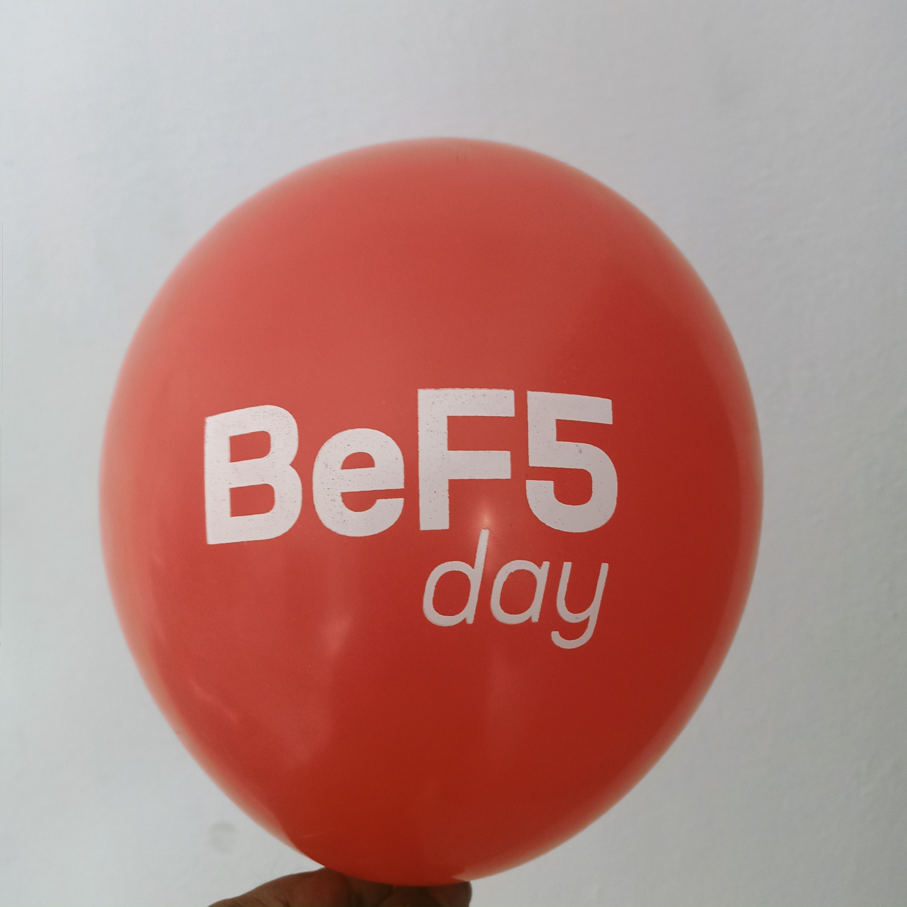  Balloon Printing Servies 