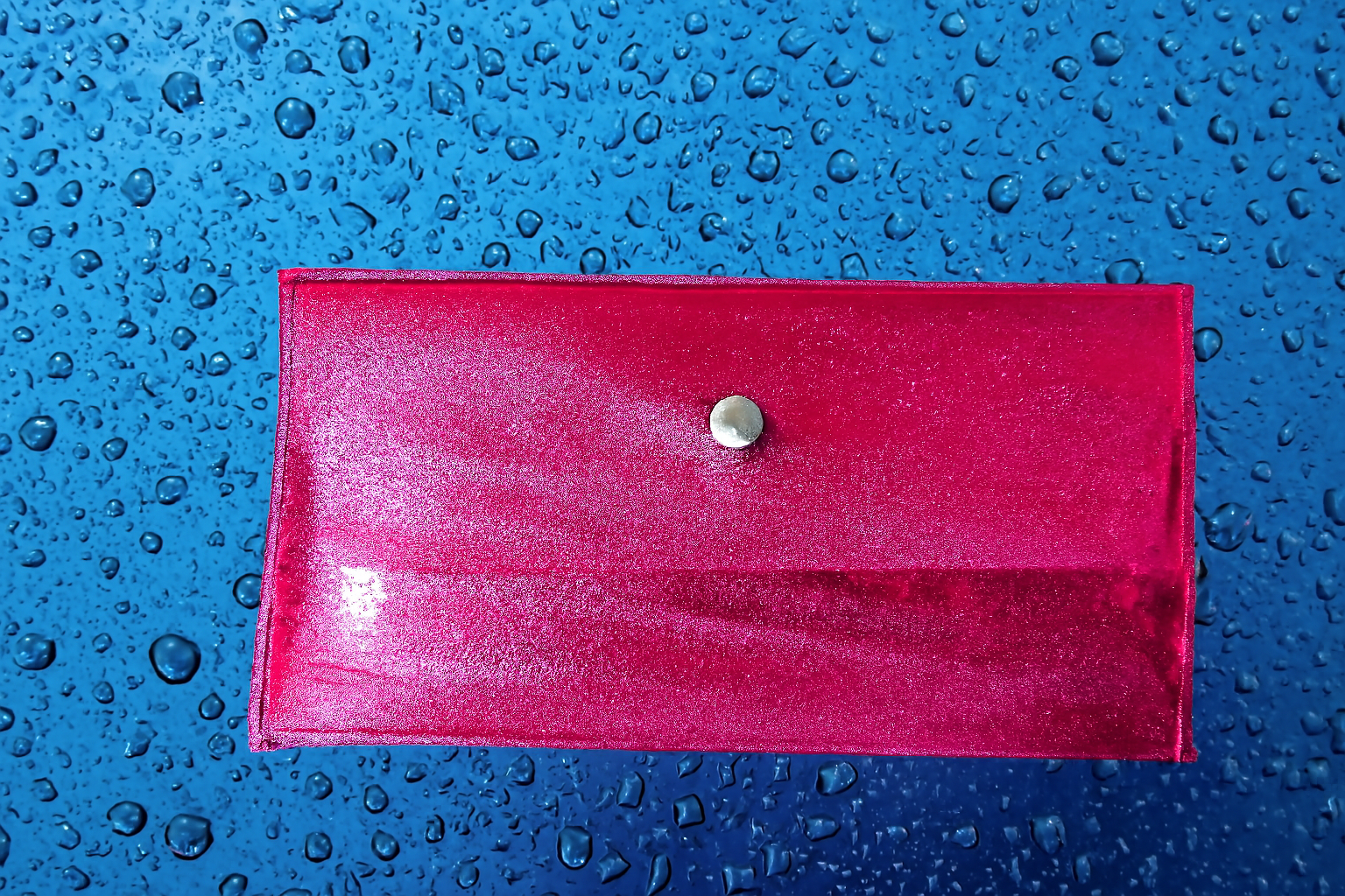 Pink pouch Makeup 10 Brush Set 