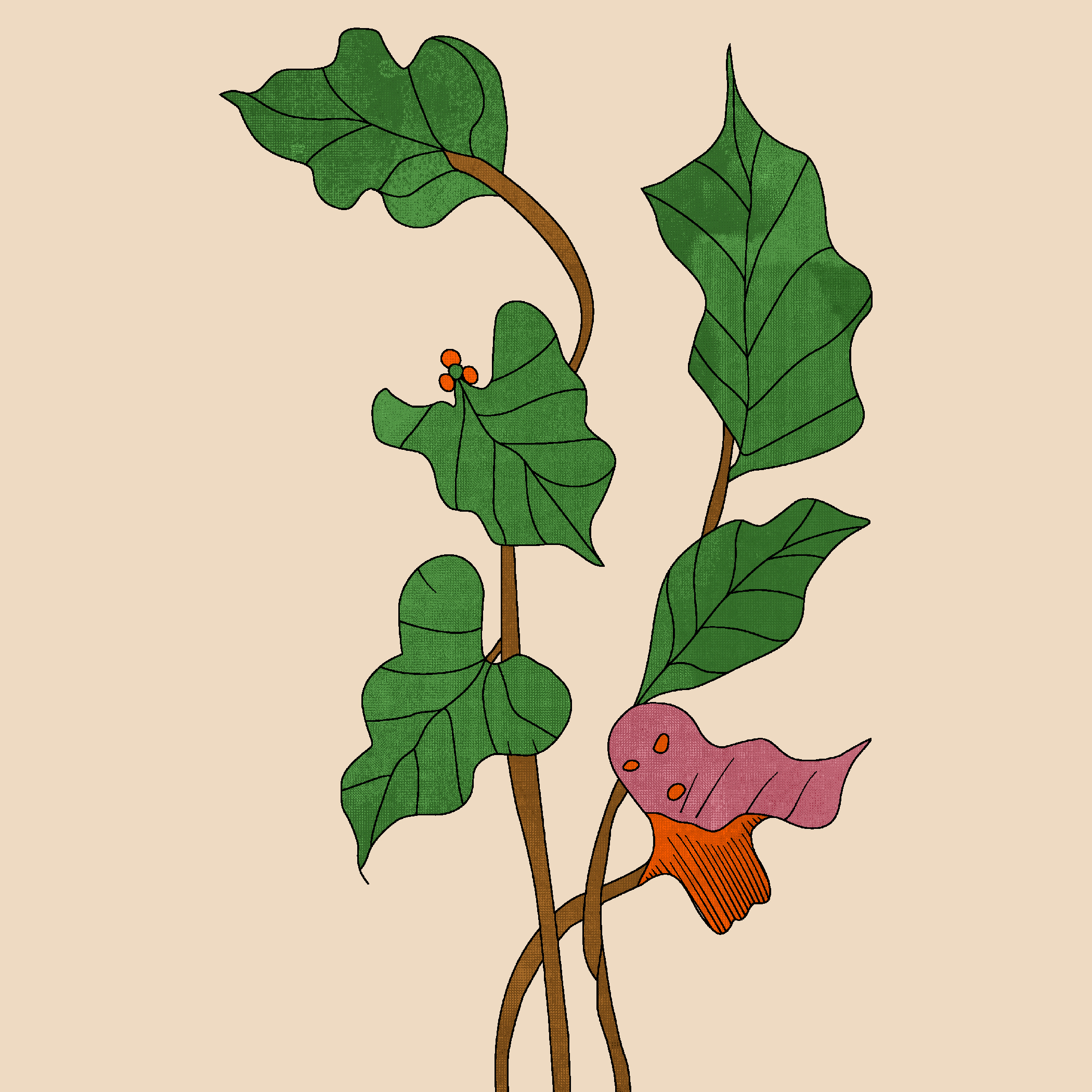 Minimal Botanical Charm